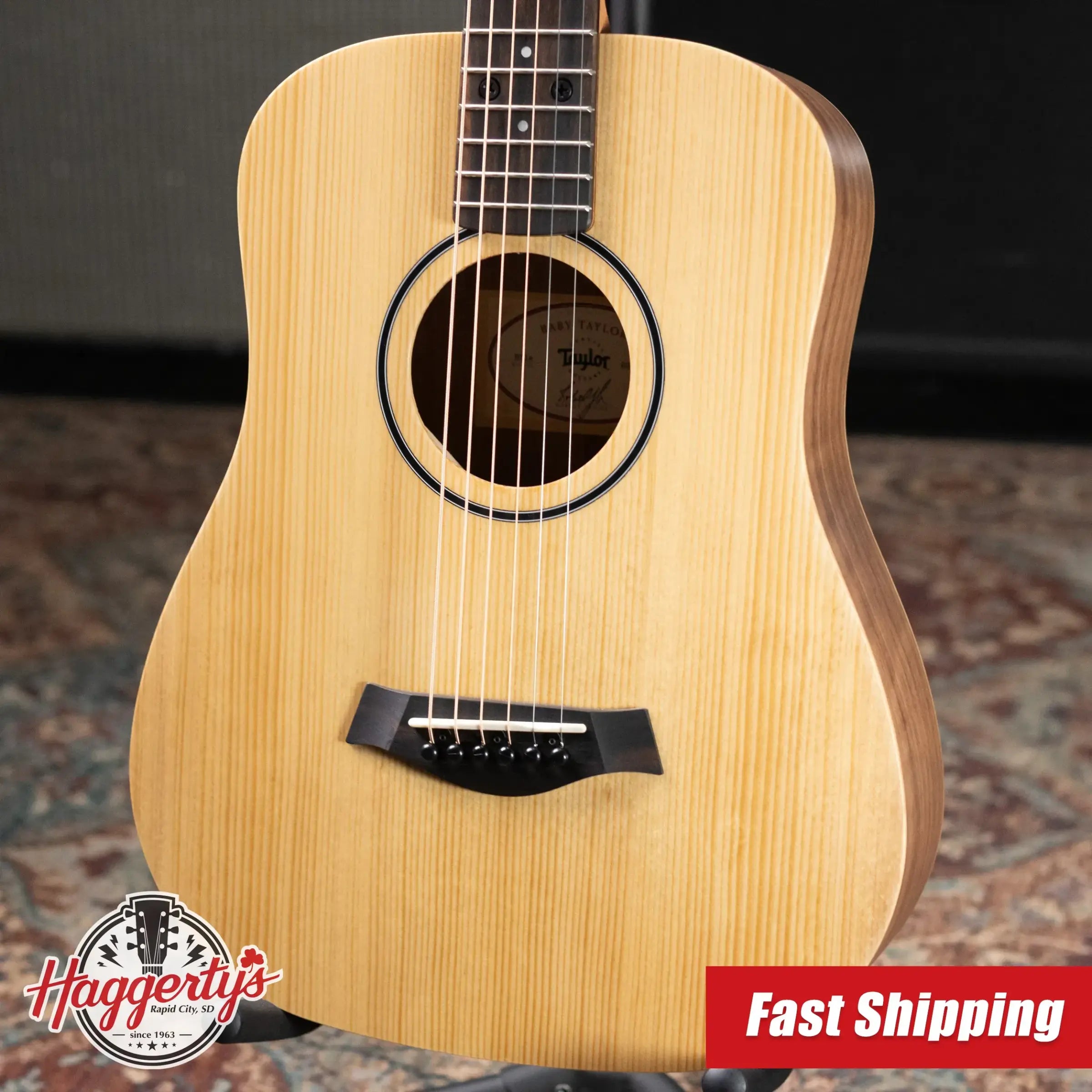Taylor BT1e Baby Taylor Acoustic/Electric Guitar with Gig Bag