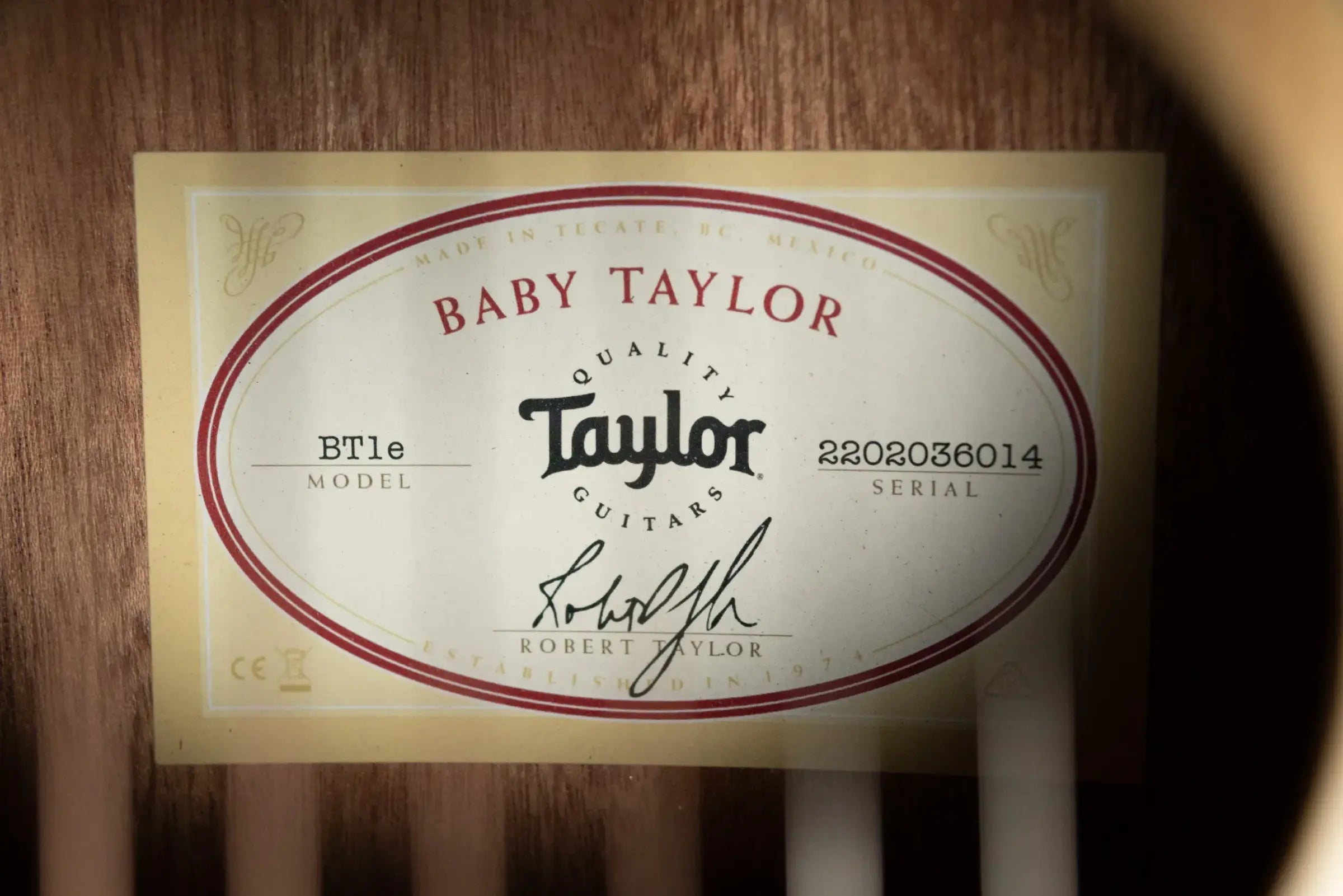 Taylor BT1e Baby Taylor Acoustic/Electric Guitar with Gig Bag