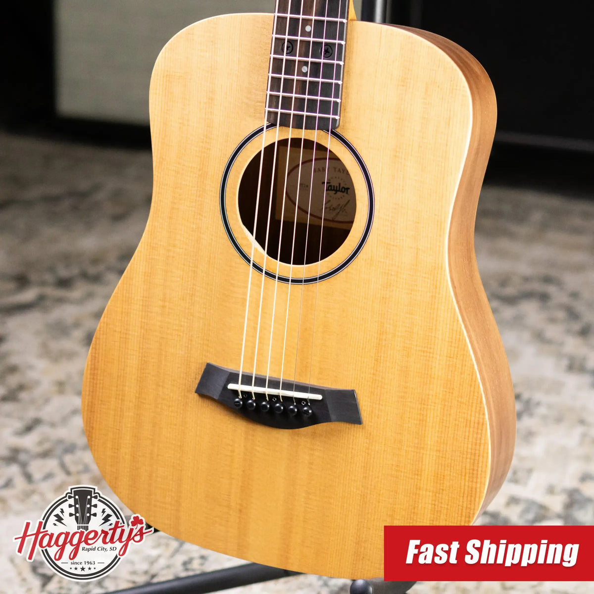 Taylor BT1e Baby Taylor Acoustic/Electric Guitar with Gig Bag