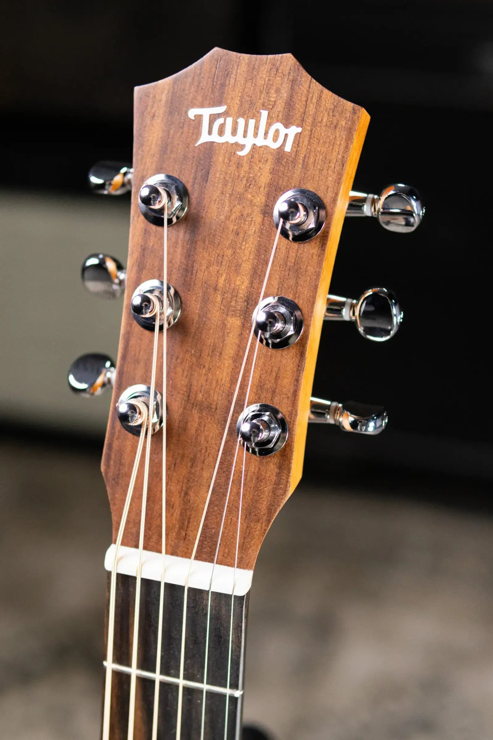 Taylor BT1e Baby Taylor Acoustic/Electric Guitar with Gig Bag