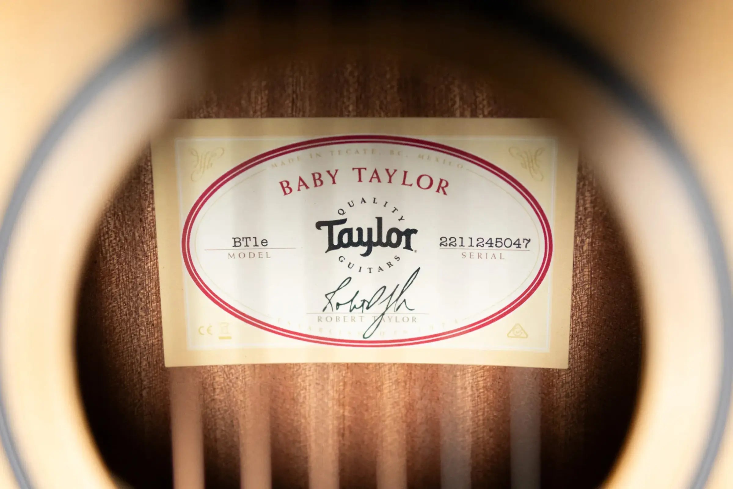 Taylor BT1e Baby Taylor Acoustic/Electric Guitar with Gig Bag