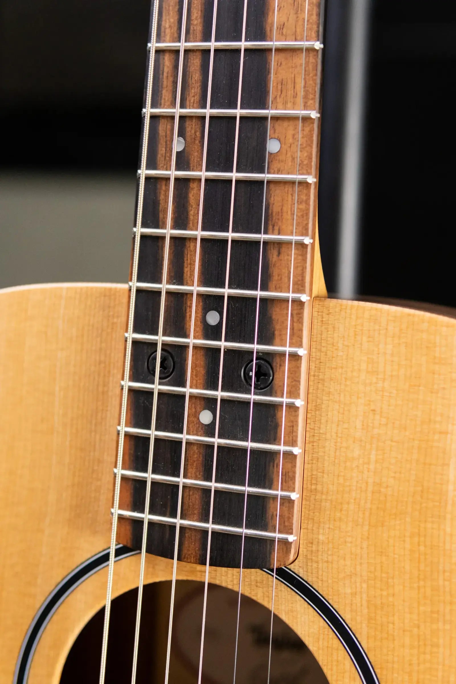 Taylor BT1e Baby Taylor Acoustic/Electric Guitar with Gig Bag