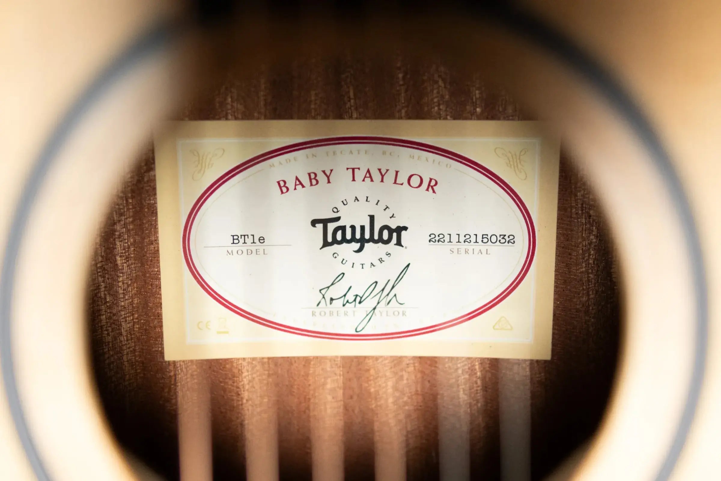 Taylor BT1e Baby Taylor Acoustic/Electric Guitar with Gig Bag