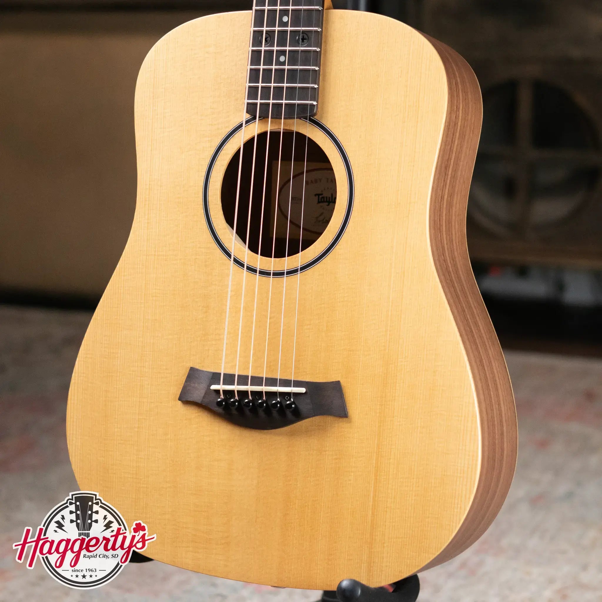 Taylor BT1e Baby Taylor Acoustic-Electric Guitar with Gig Bag