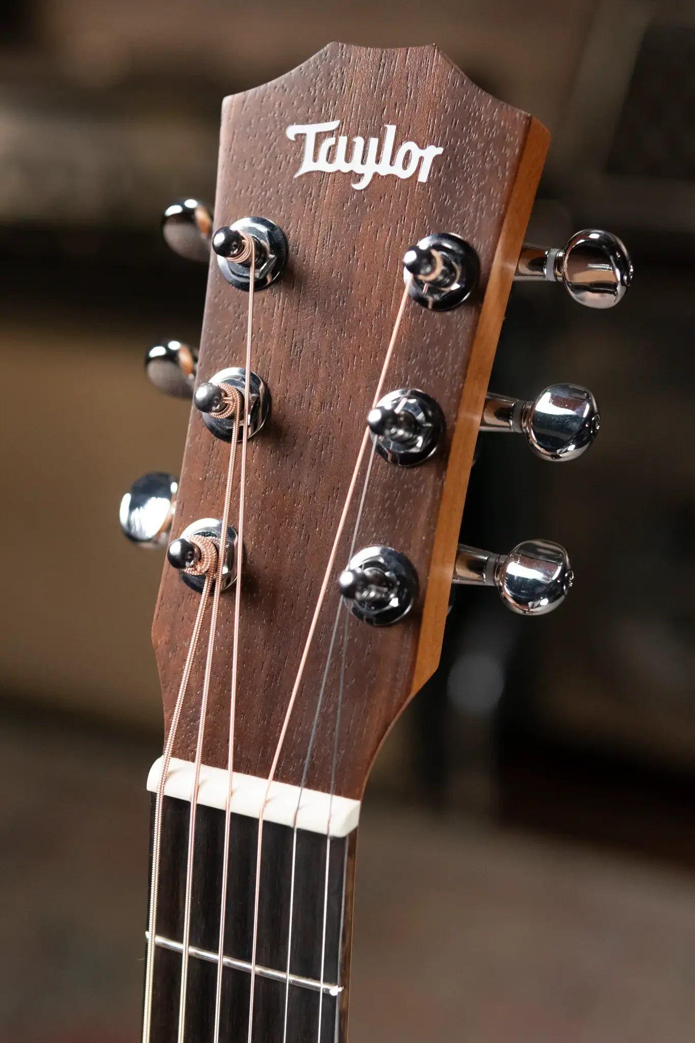 Taylor BT1e Baby Taylor Acoustic-Electric Guitar with Gig Bag