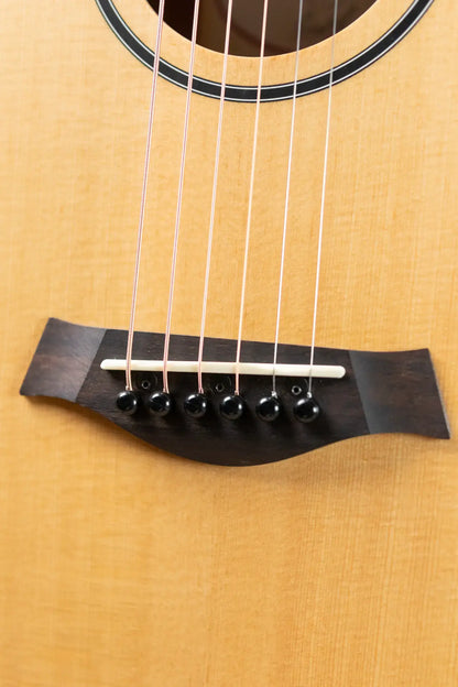 Taylor BT1e Baby Taylor Acoustic-Electric Guitar with Gig Bag