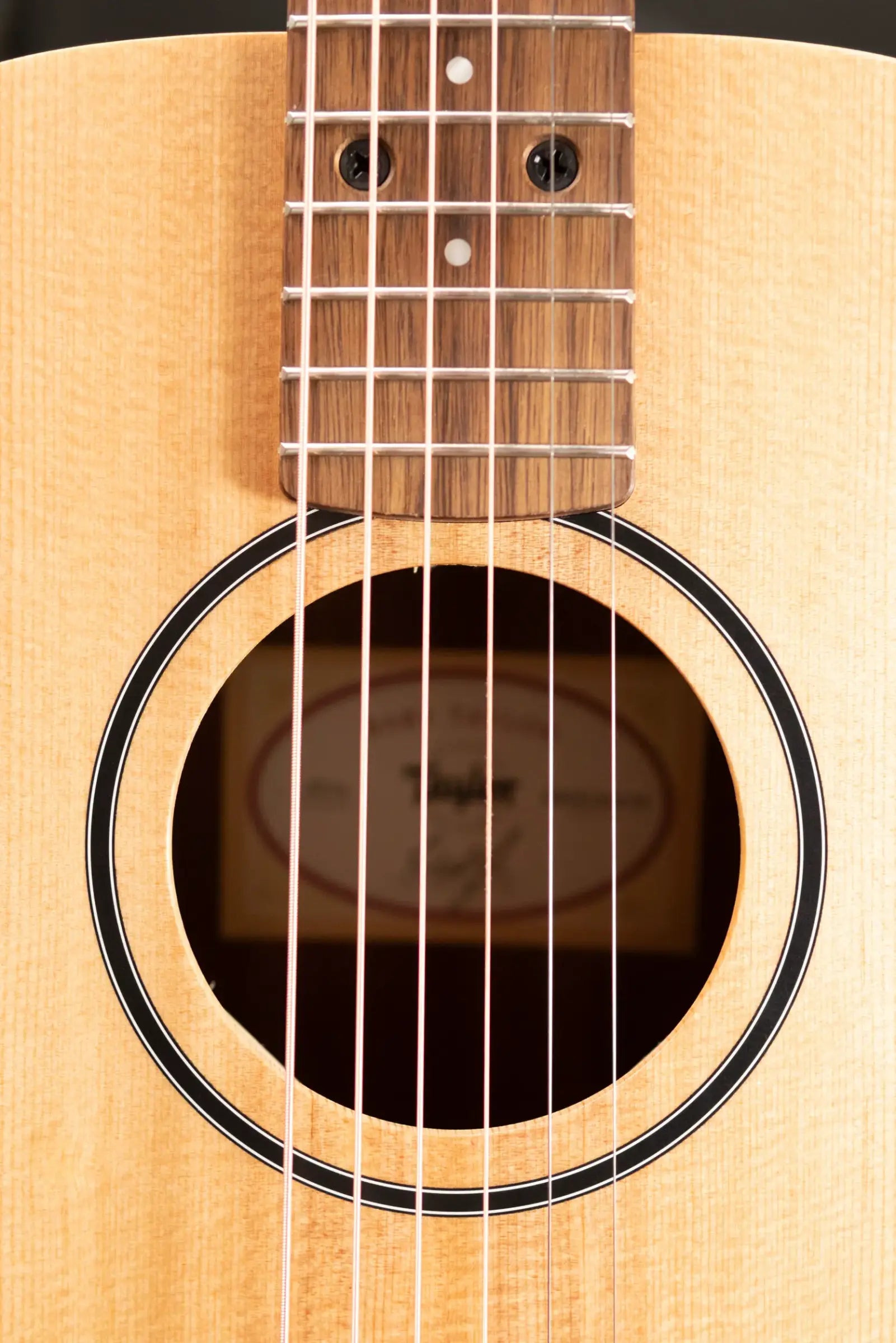 Taylor BT1e Baby Taylor Acoustic-Electric Guitar with Structured Gig Bag