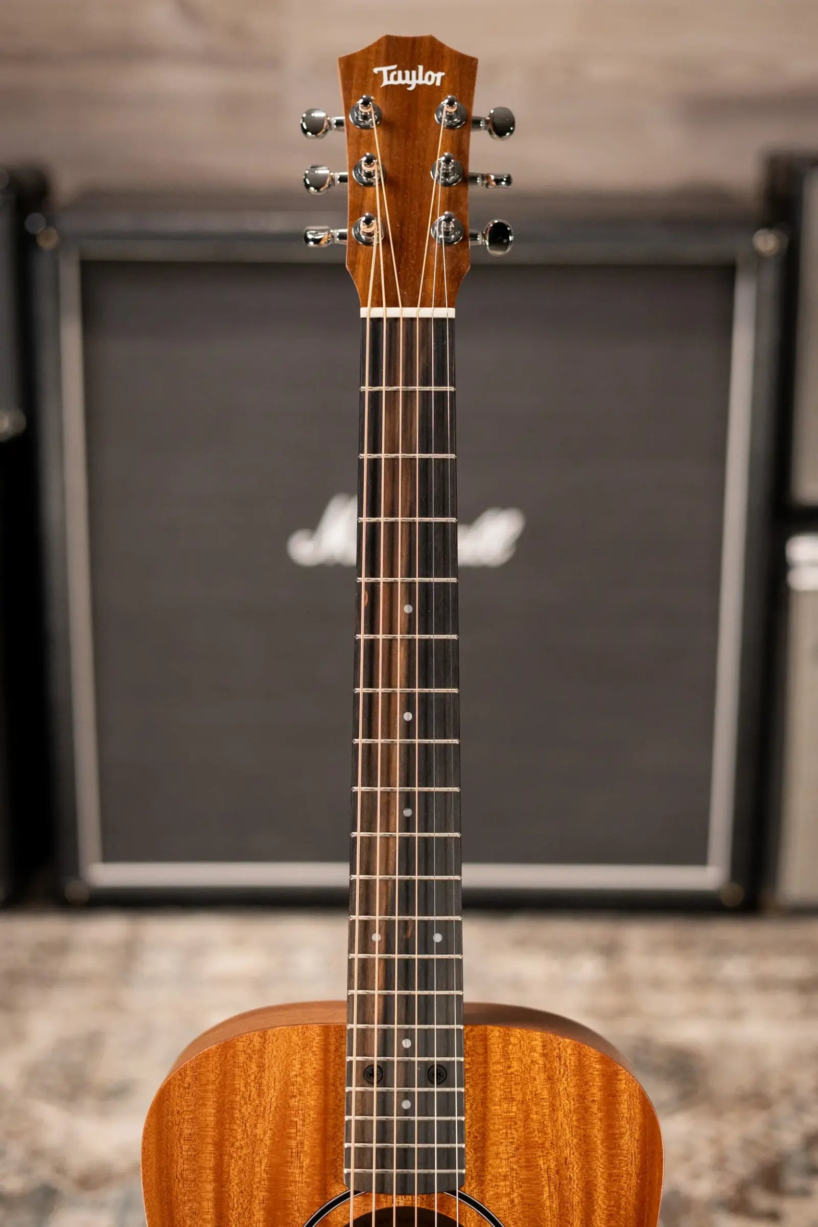 Taylor BT2 Baby Taylor Acoustic Guitar with Gig Bag