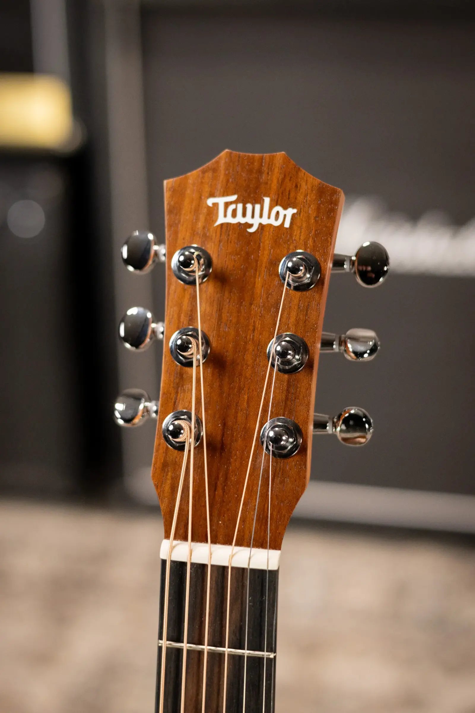 Taylor BT2 Baby Taylor Acoustic Guitar with Gig Bag