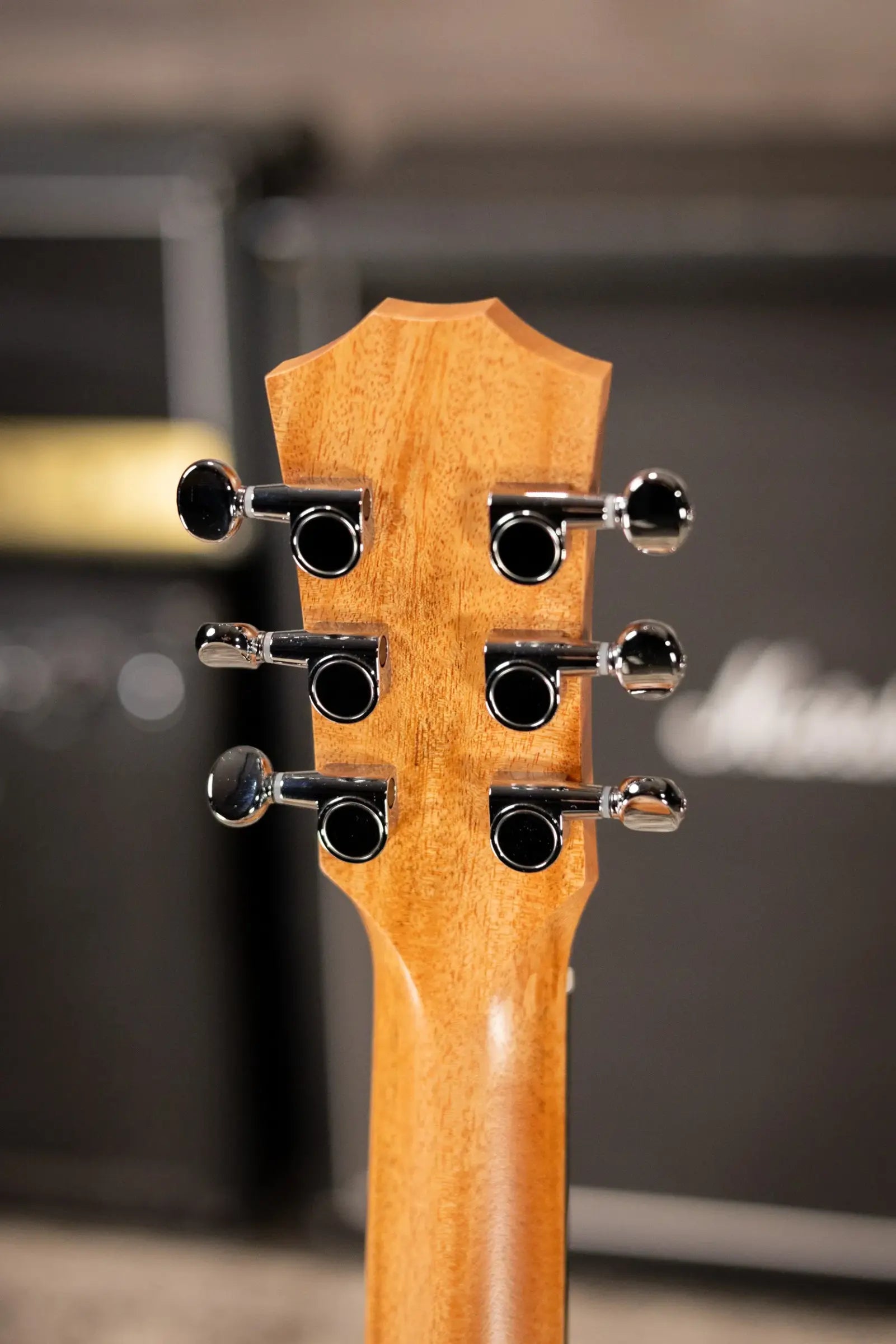 Taylor BT2 Baby Taylor Acoustic Guitar with Gig Bag