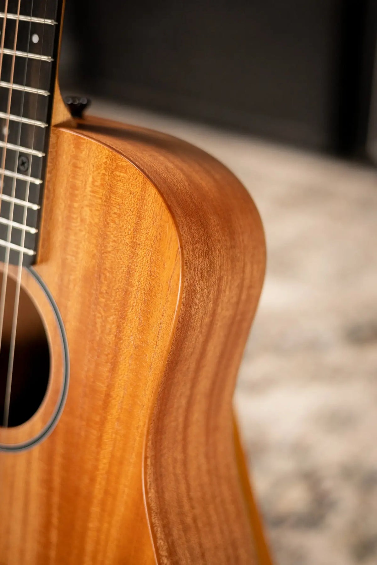 Taylor BT2 Baby Taylor Acoustic Guitar with Gig Bag