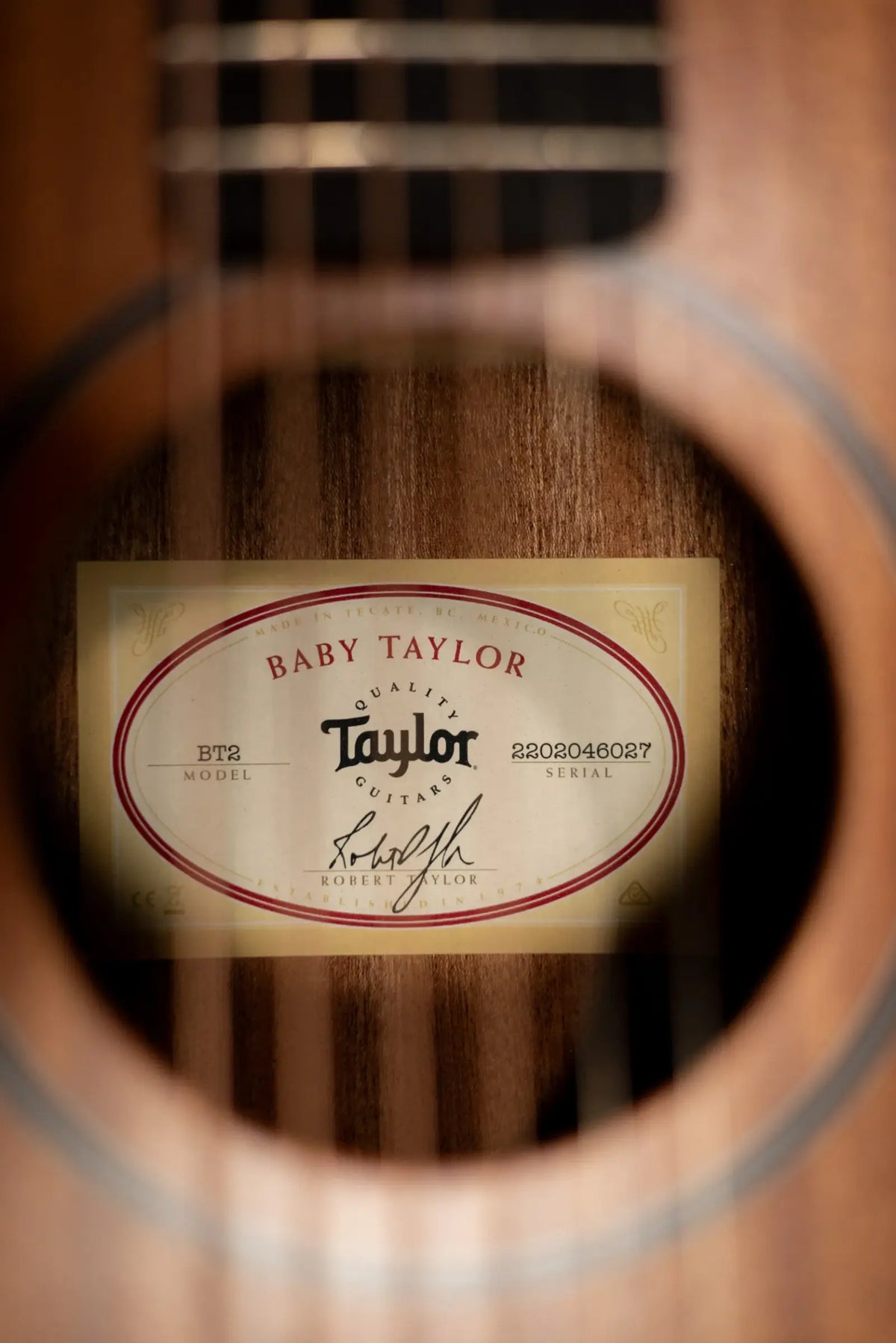 Taylor BT2 Baby Taylor Acoustic Guitar with Gig Bag