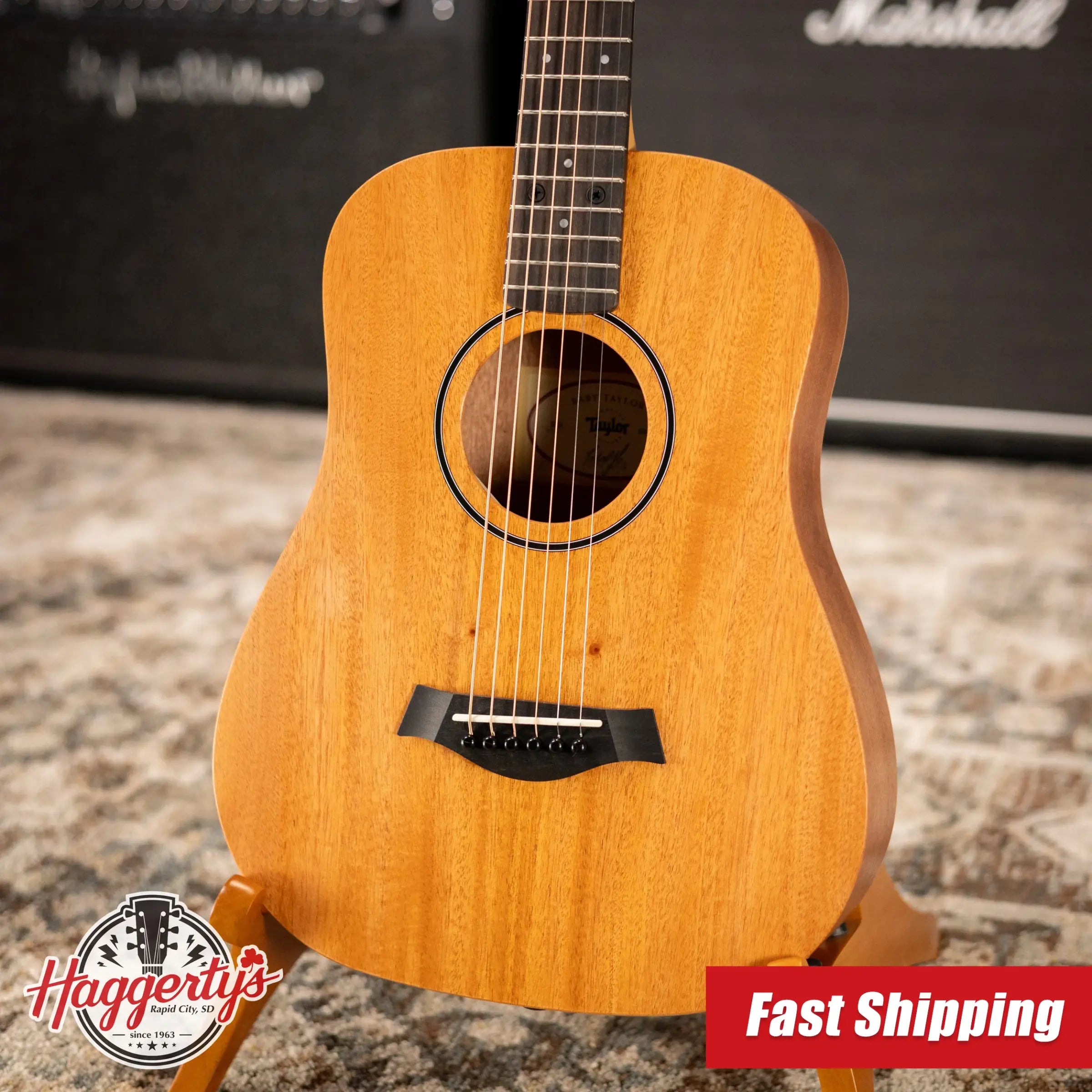 Taylor BT2 Baby Taylor Acoustic Guitar with Gig Bag