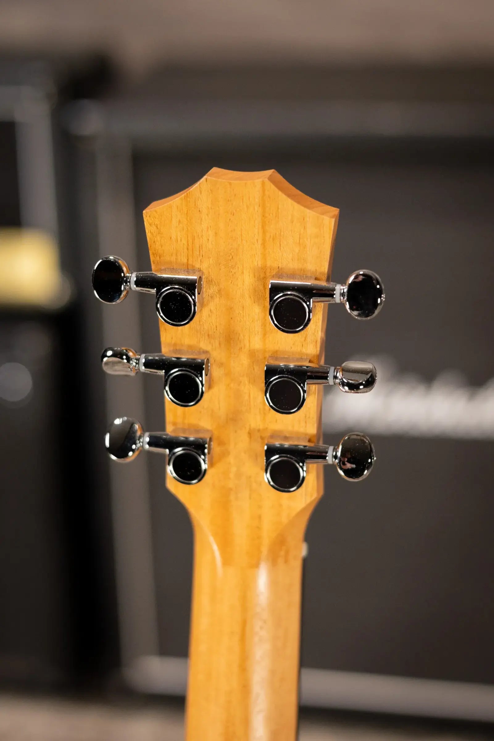 Taylor BT2 Baby Taylor Acoustic Guitar with Gig Bag