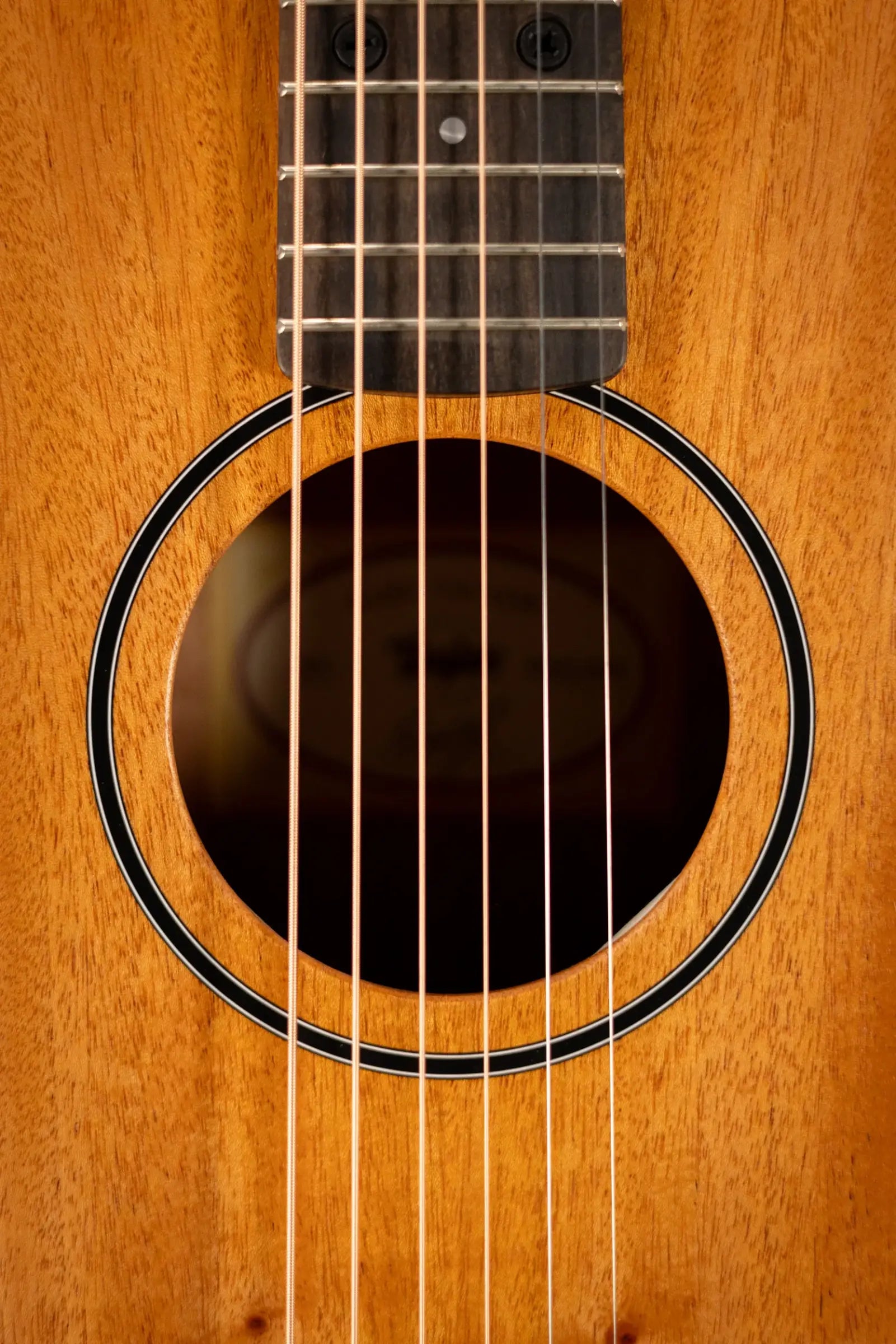 Taylor BT2 Baby Taylor Acoustic Guitar with Gig Bag