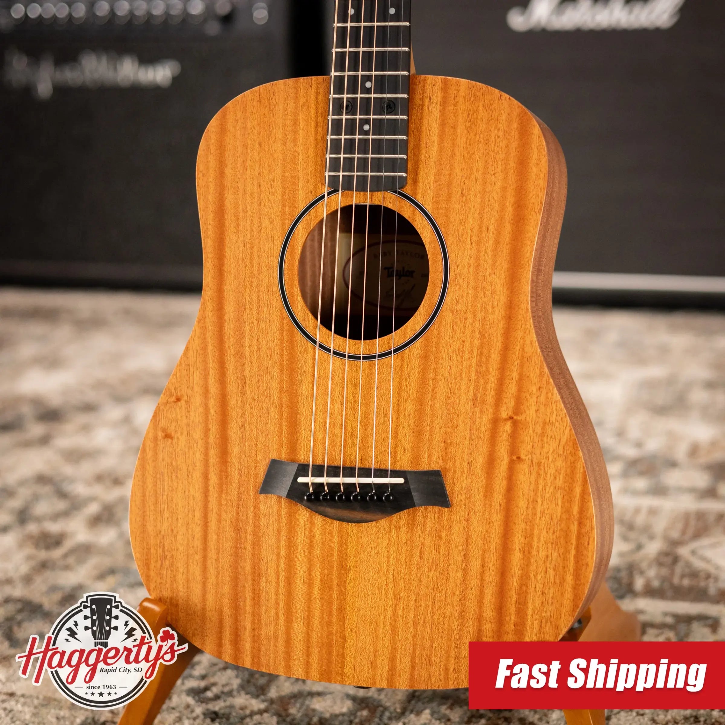 Taylor BT2 Baby Taylor Acoustic Guitar with Gig Bag