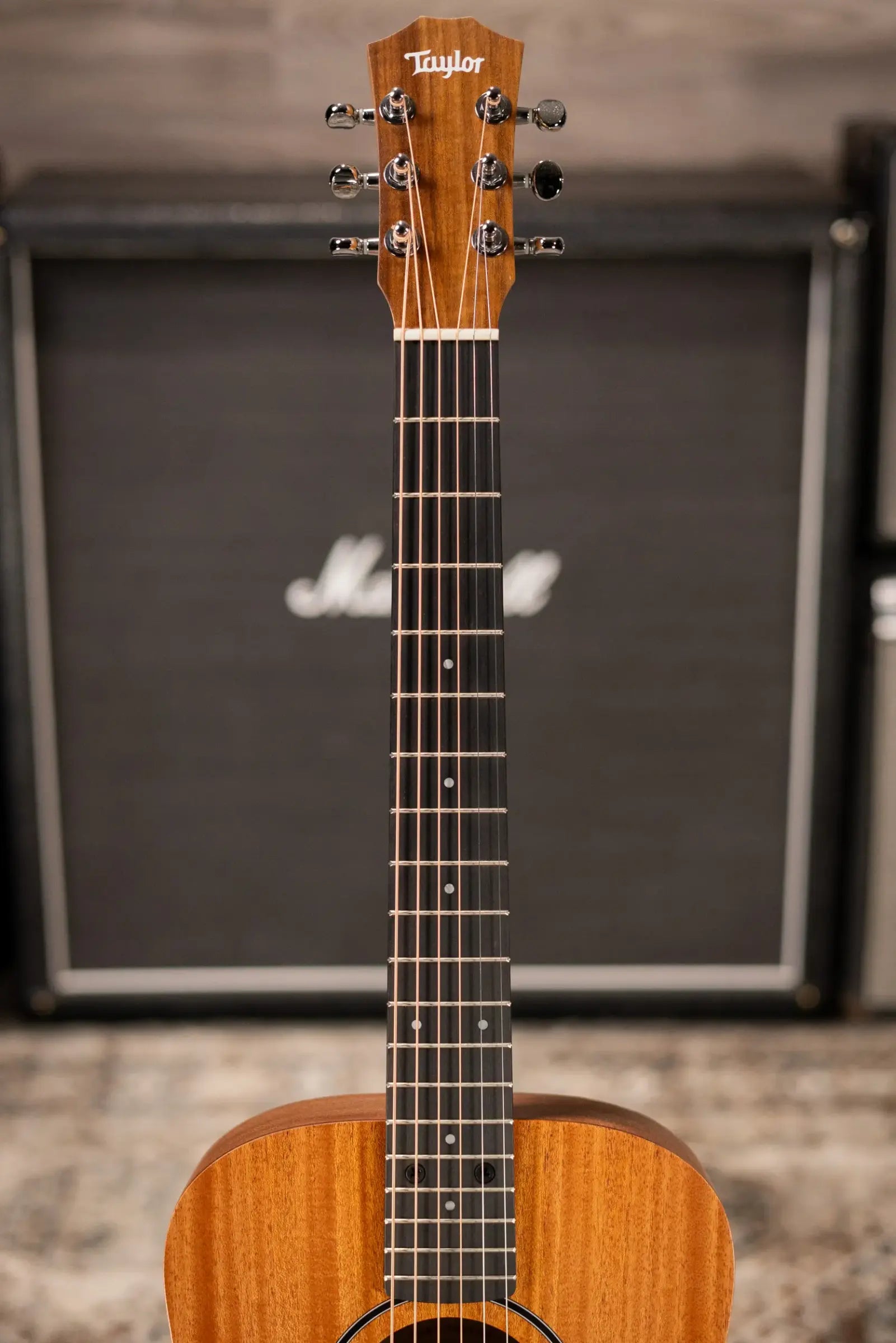 Taylor BT2 Baby Taylor Acoustic Guitar with Gig Bag