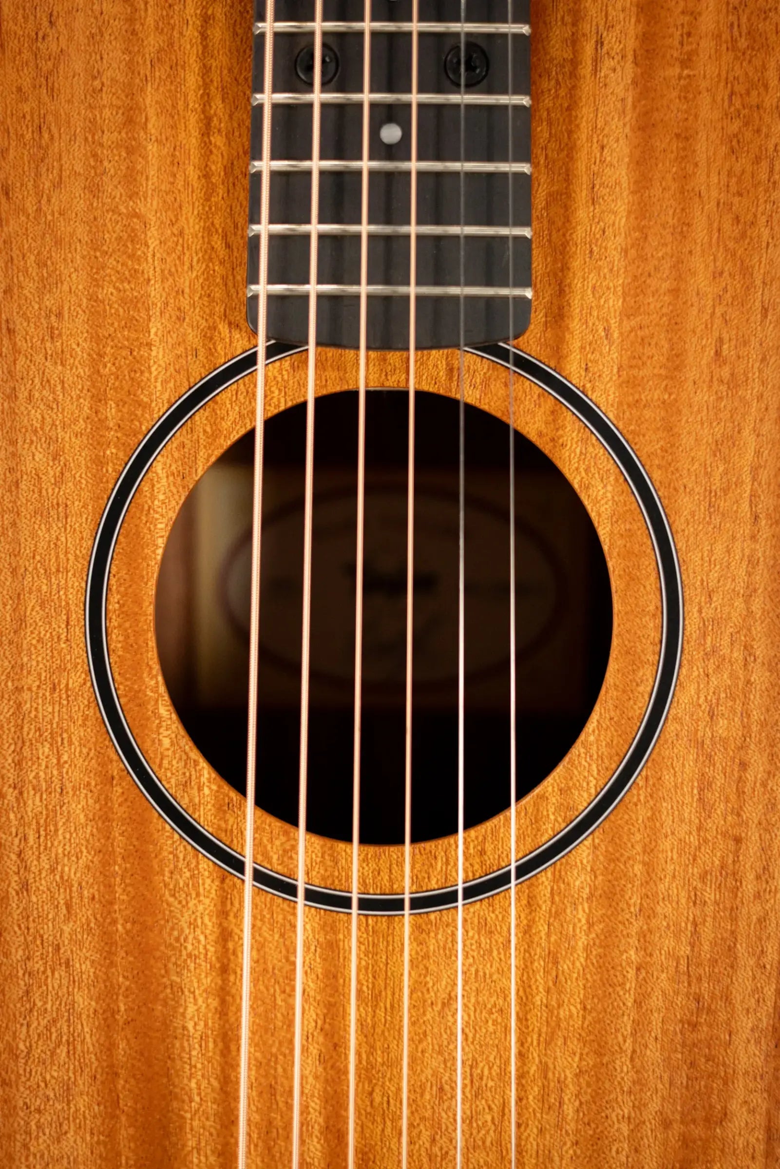Taylor BT2 Baby Taylor Acoustic Guitar with Gig Bag