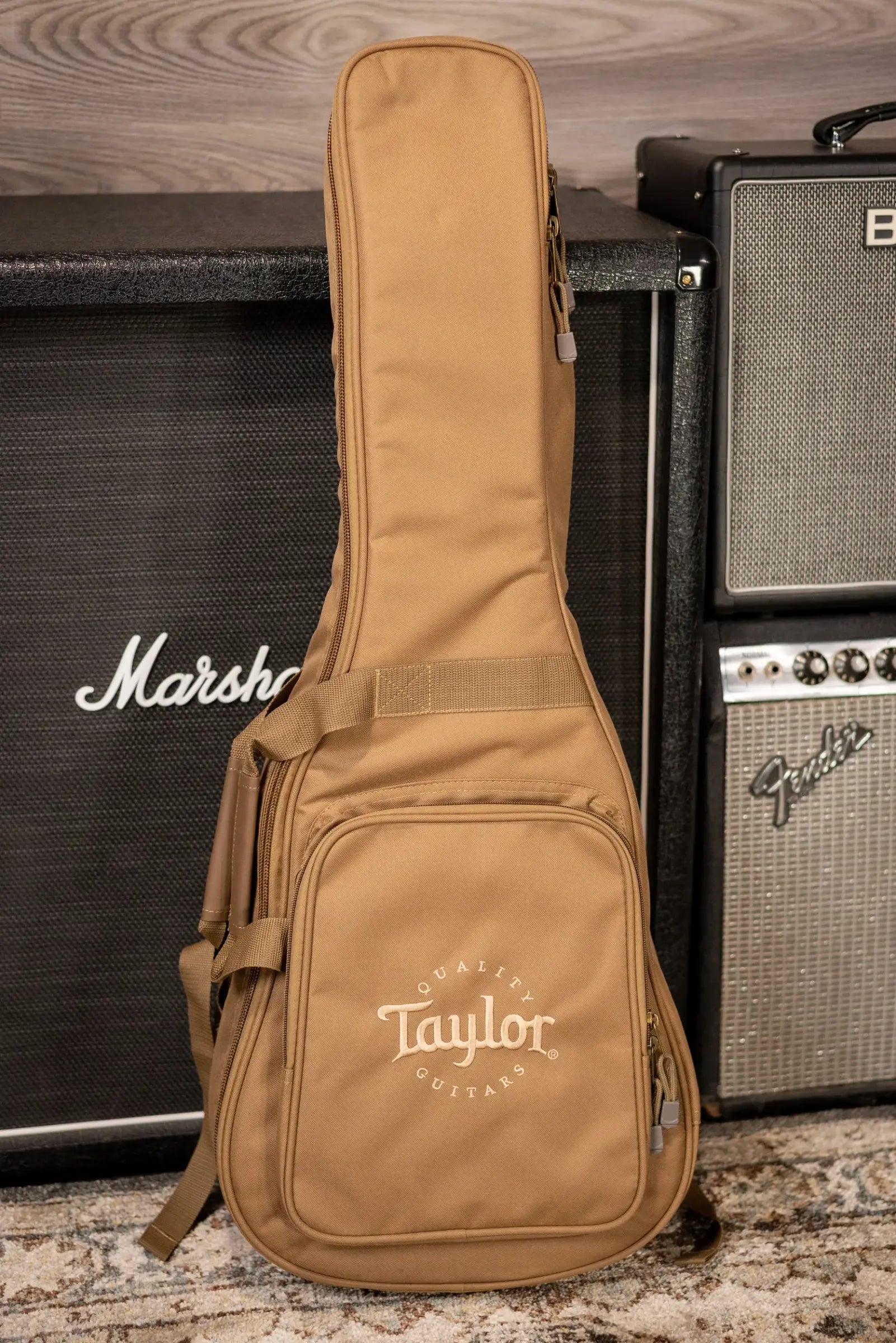Taylor BT2 Baby Taylor Acoustic Guitar with Gig Bag