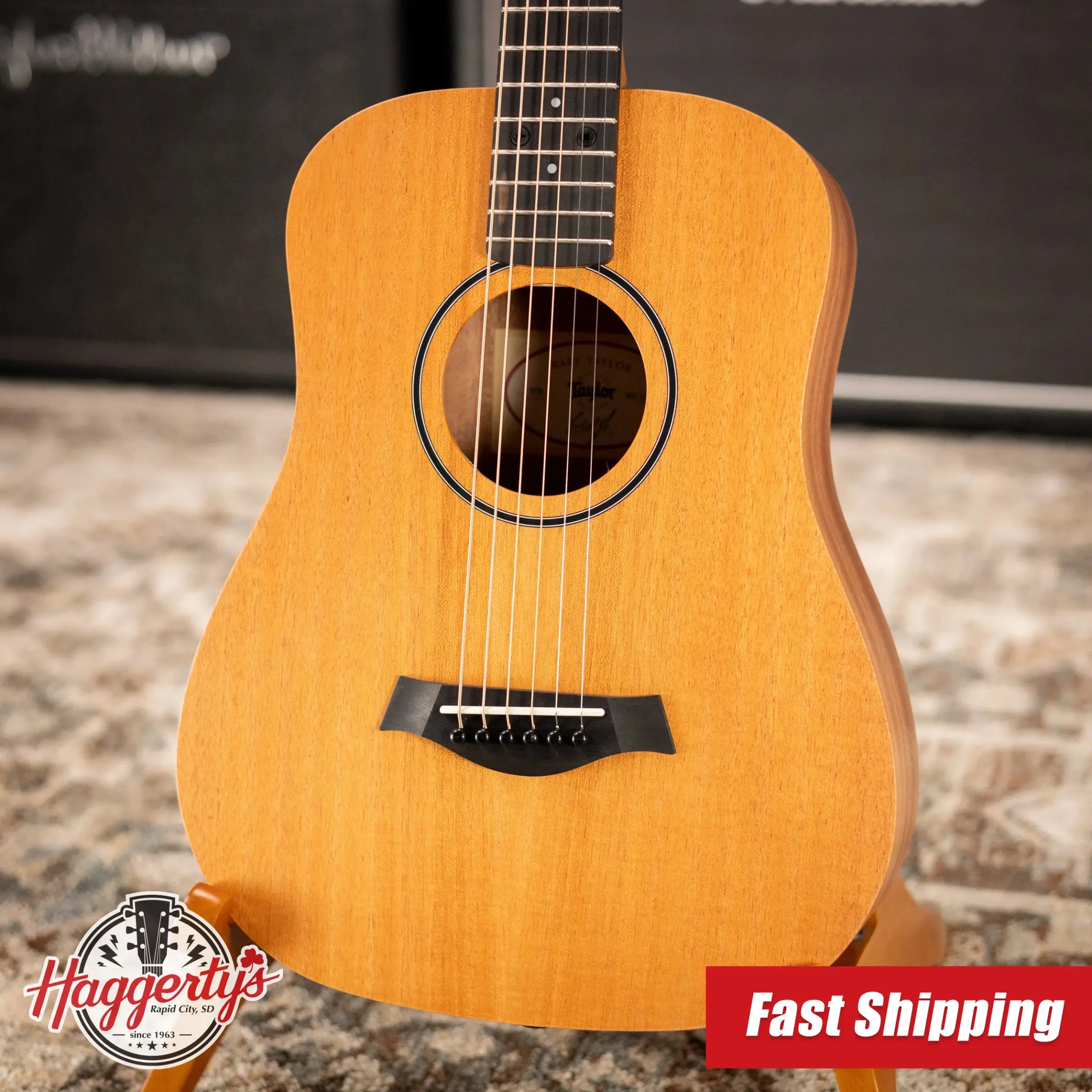 Taylor BT2 Baby Taylor Acoustic Guitar with Gig Bag