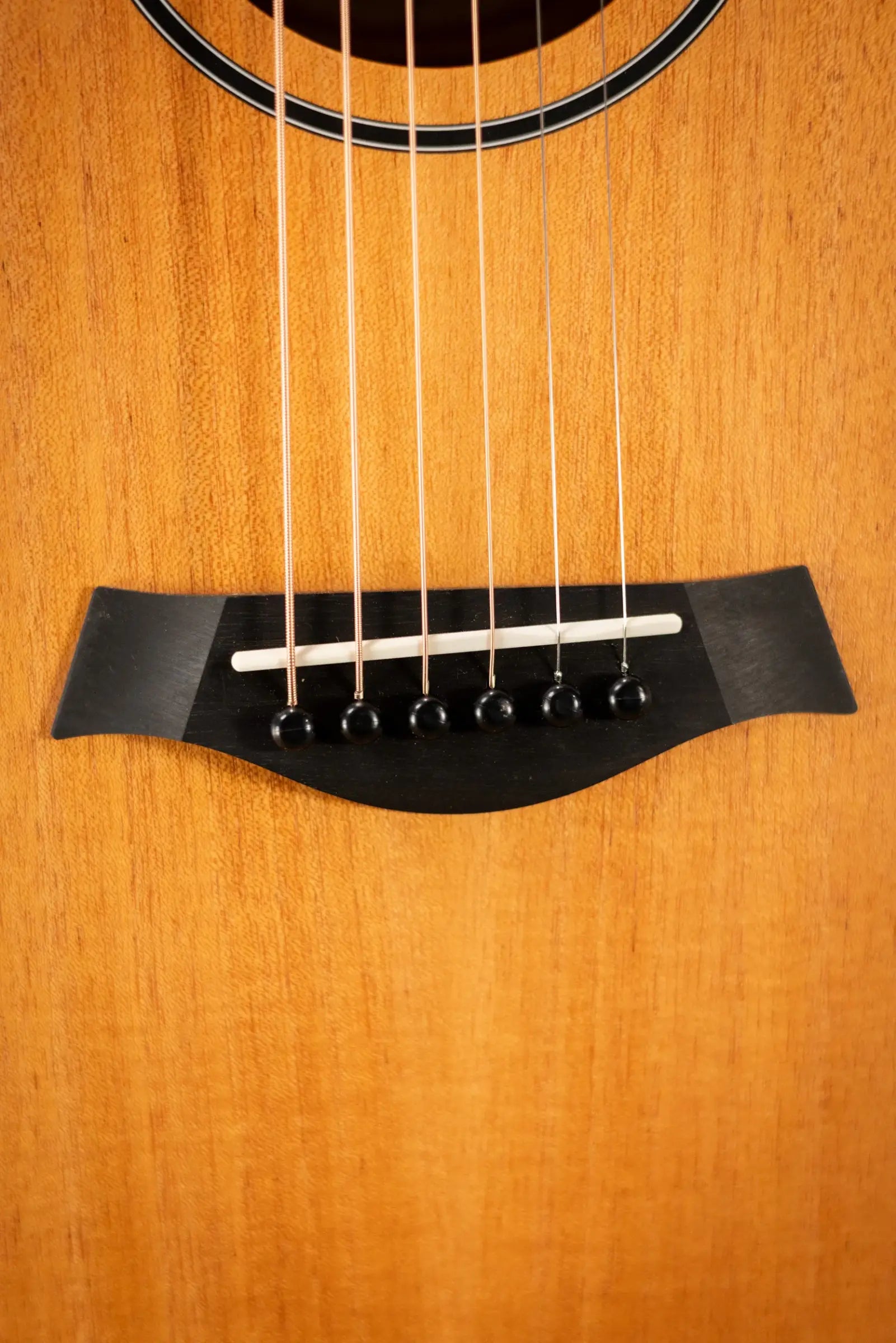 Taylor BT2 Baby Taylor Acoustic Guitar with Gig Bag
