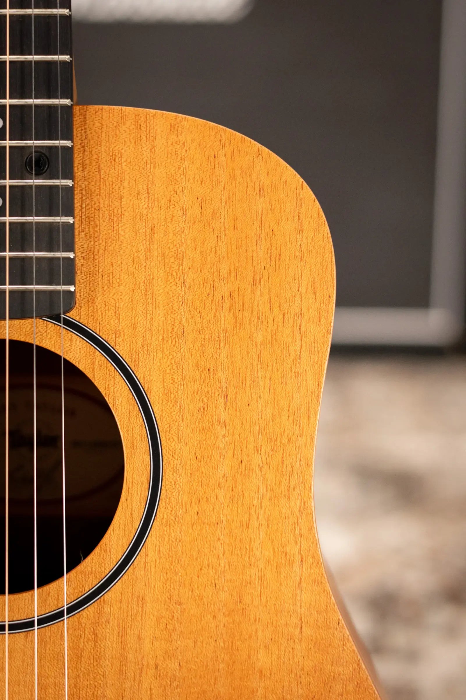 Taylor BT2 Baby Taylor Acoustic Guitar with Gig Bag