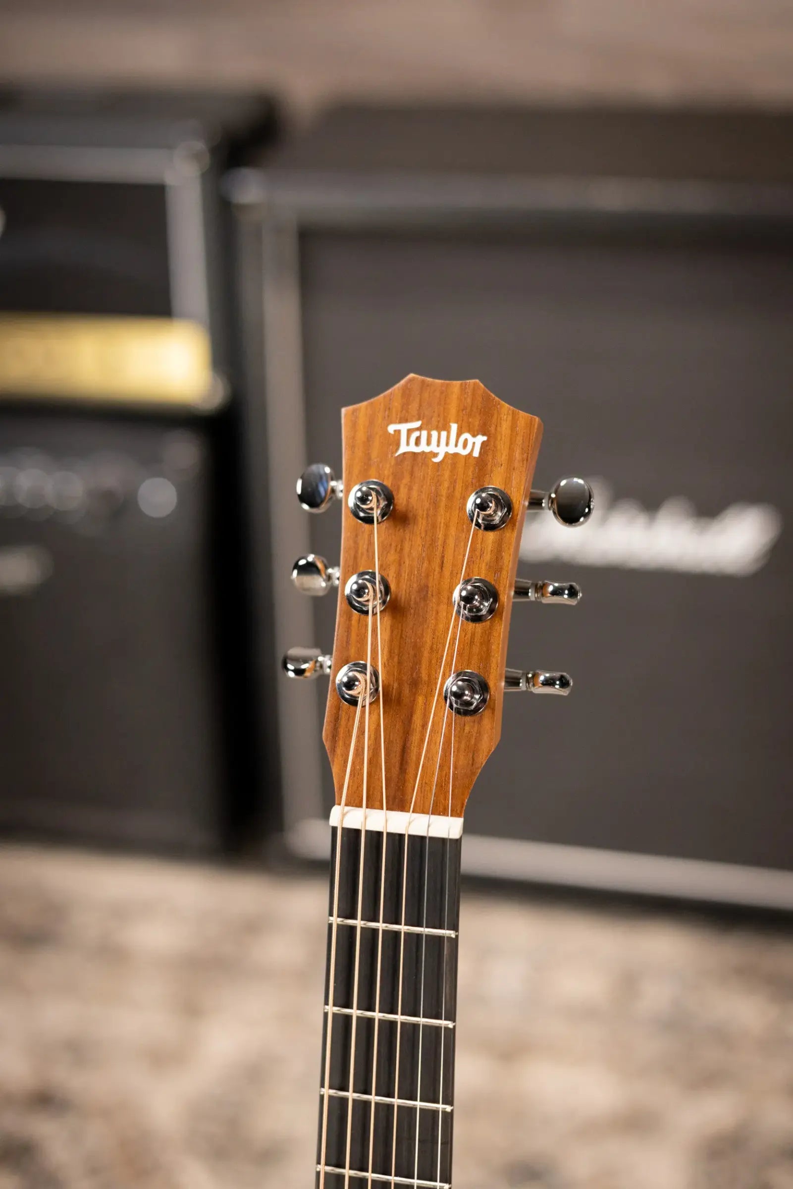 Taylor BT2 Baby Taylor Acoustic Guitar with Gig Bag