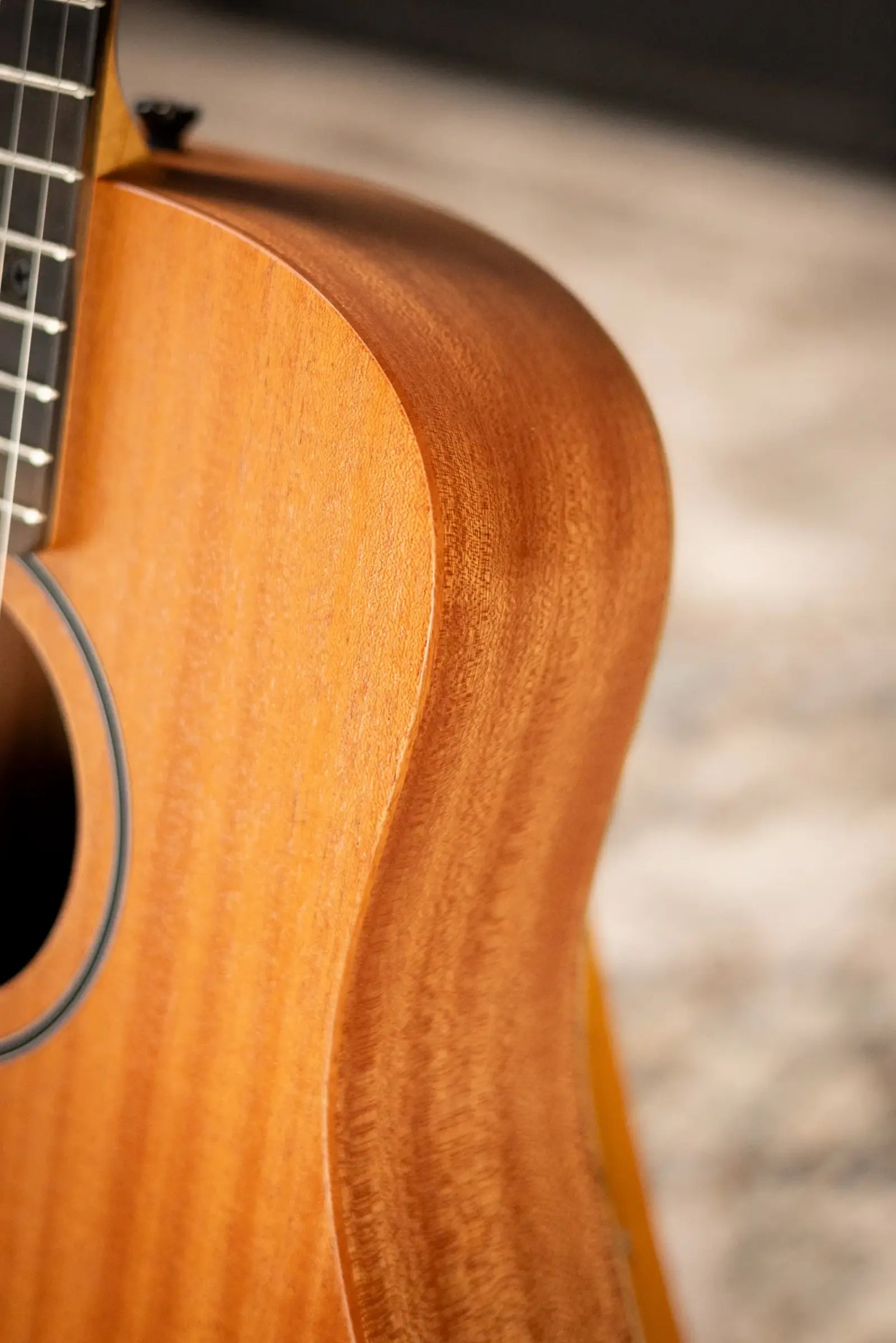 Taylor BT2 Baby Taylor Acoustic Guitar with Gig Bag