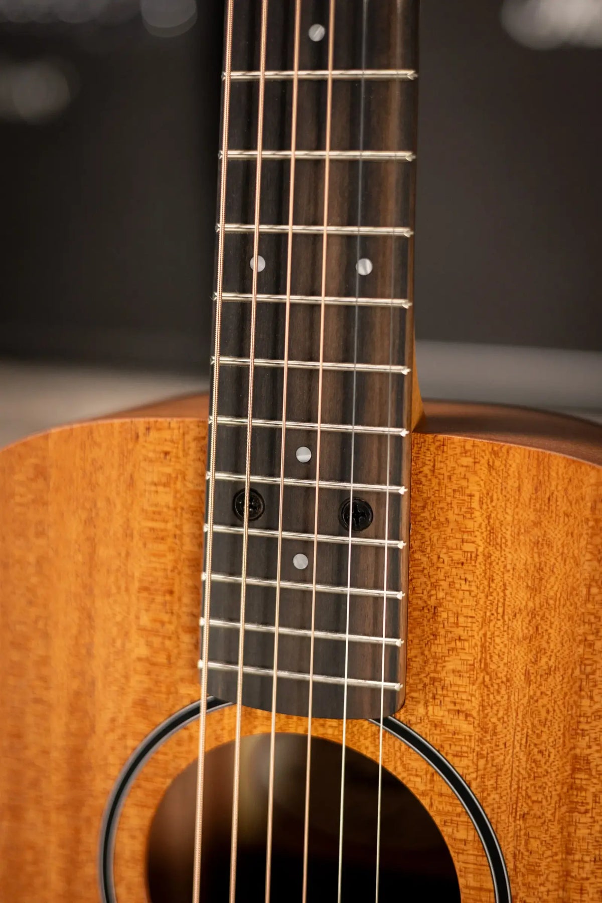 Taylor BT2 Baby Taylor Acoustic Guitar with Gig Bag