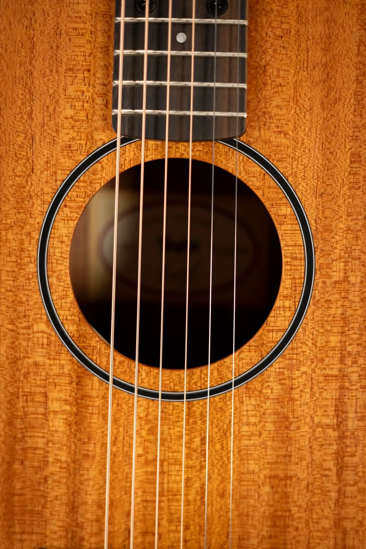 Taylor BT2 Baby Taylor Acoustic Guitar with Gig Bag
