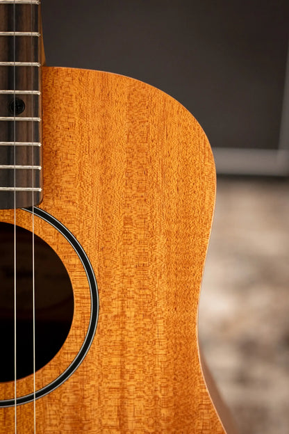 Taylor BT2 Baby Taylor Acoustic Guitar with Gig Bag