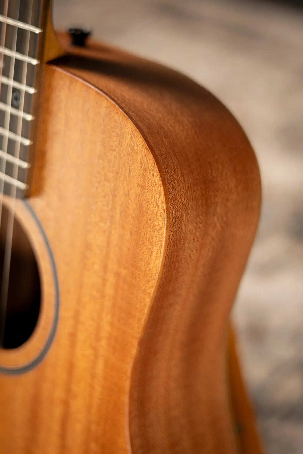 Taylor BT2 Baby Taylor Acoustic Guitar with Gig Bag