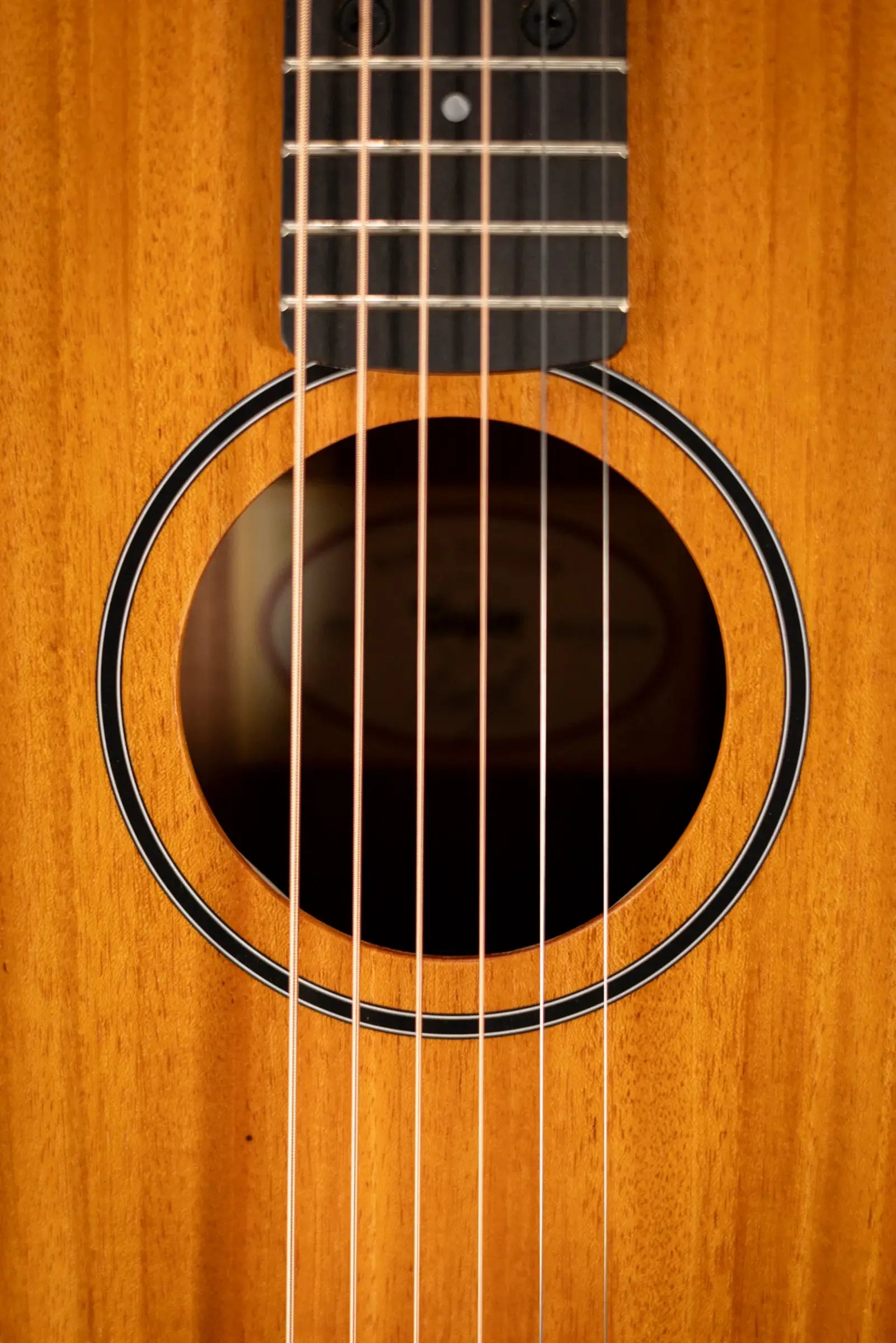 Taylor BT2 Baby Taylor Acoustic Guitar with Gig Bag