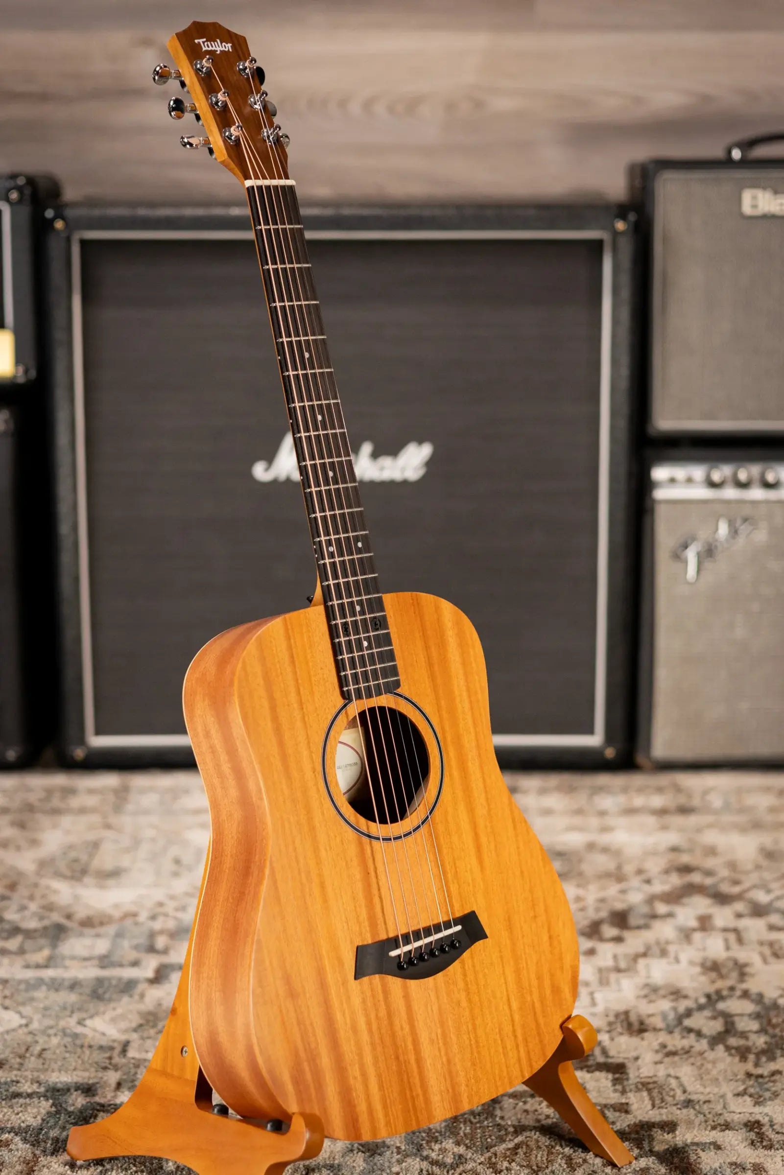 Taylor BT2 Baby Taylor Acoustic Guitar with Gig Bag