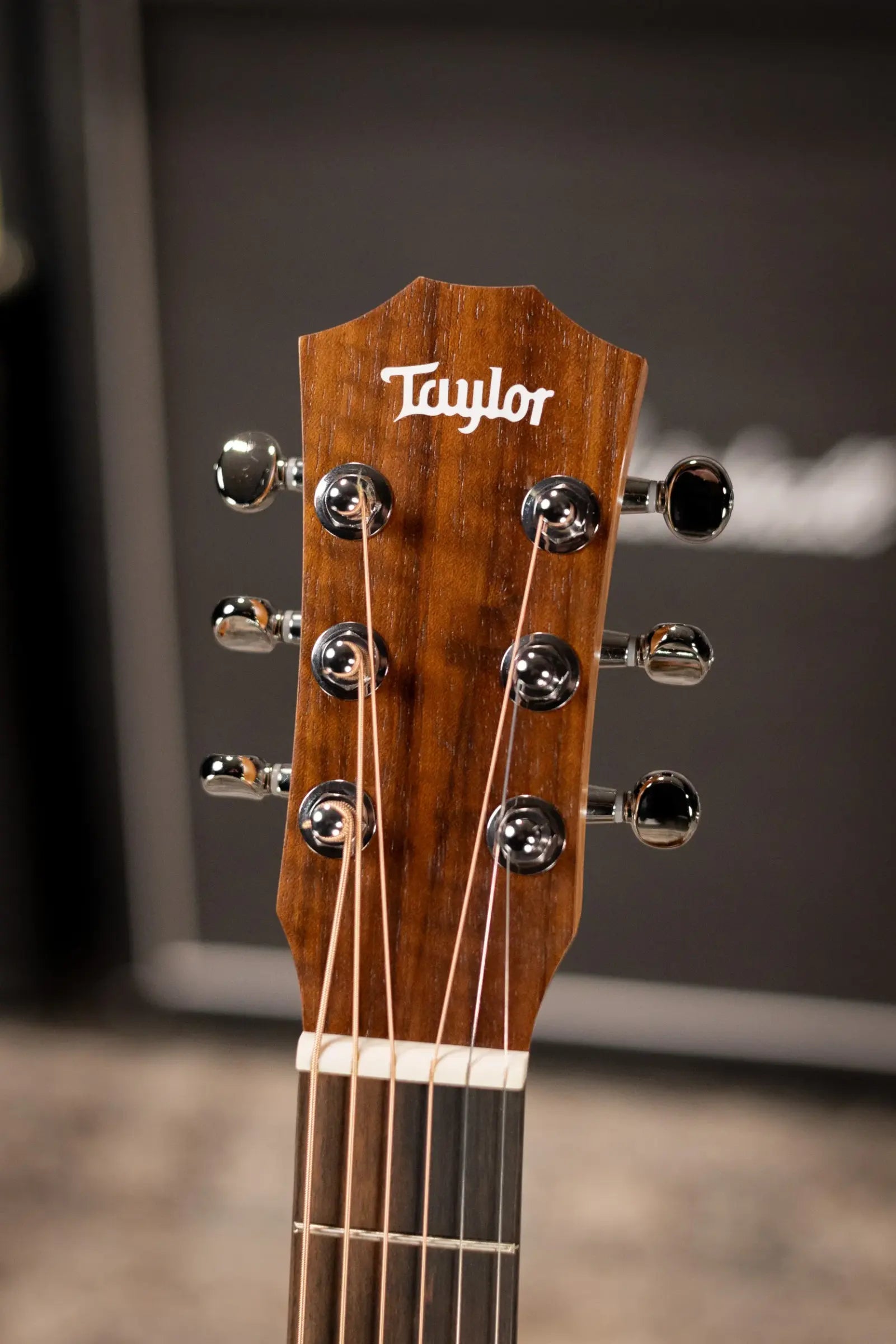 Taylor BT2 Baby Taylor Acoustic Guitar with Gig Bag