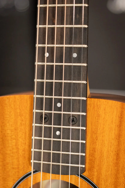 Taylor BT2 Baby Taylor Acoustic Guitar with Gig Bag