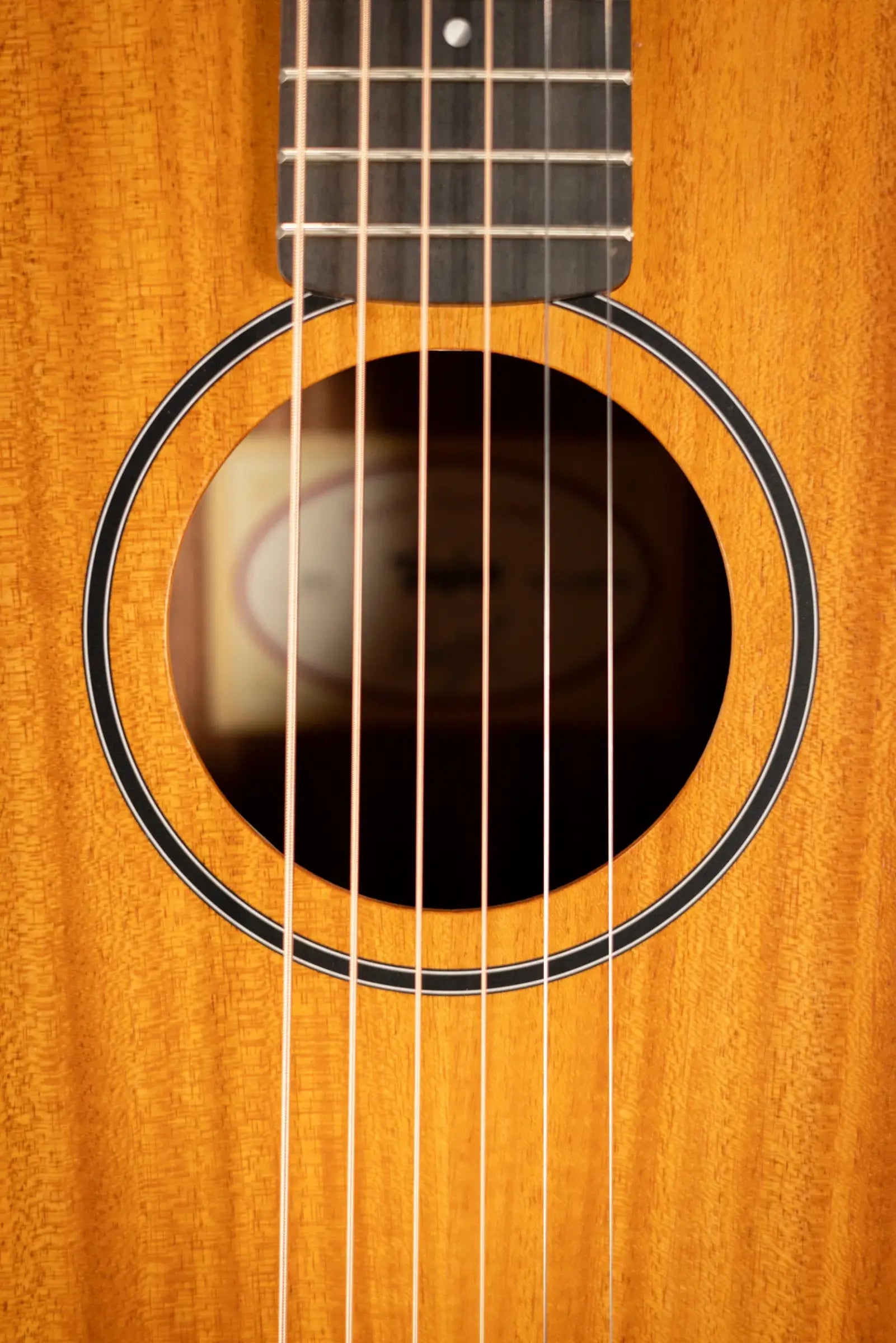 Taylor BT2 Baby Taylor Acoustic Guitar with Gig Bag