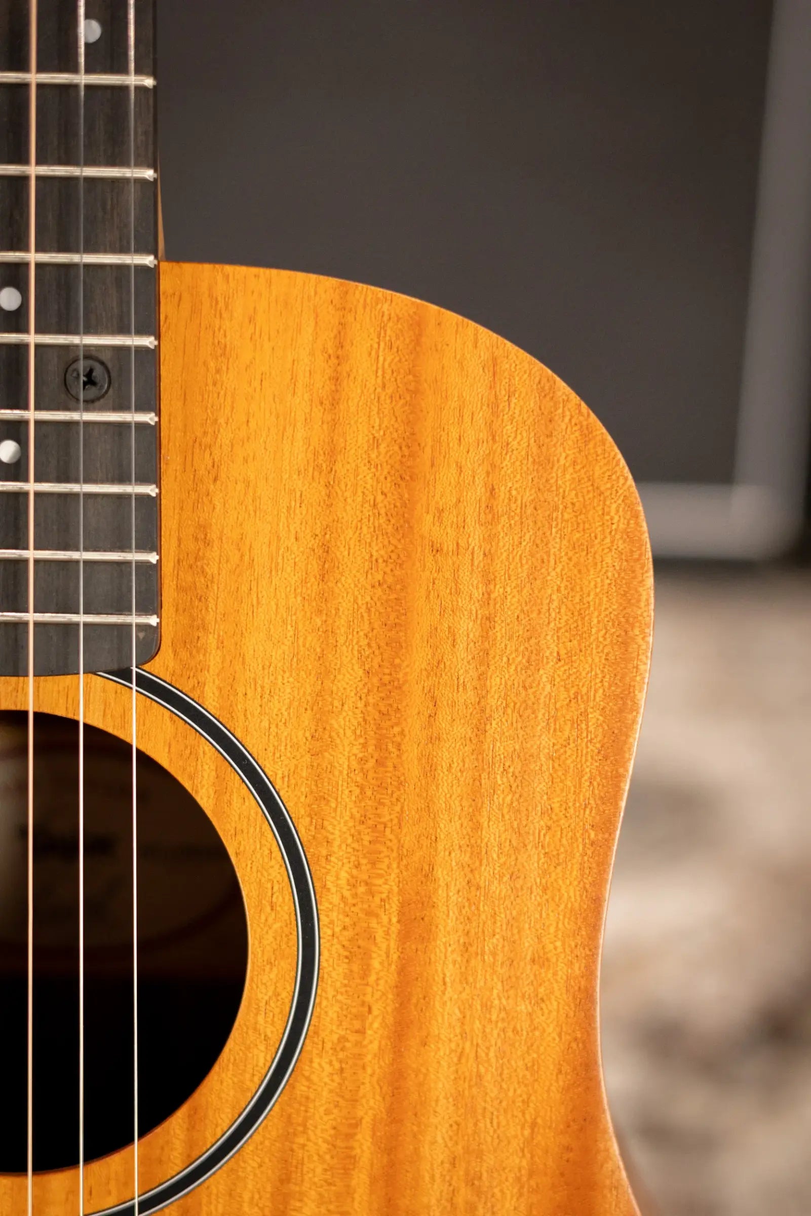 Taylor BT2 Baby Taylor Acoustic Guitar with Gig Bag