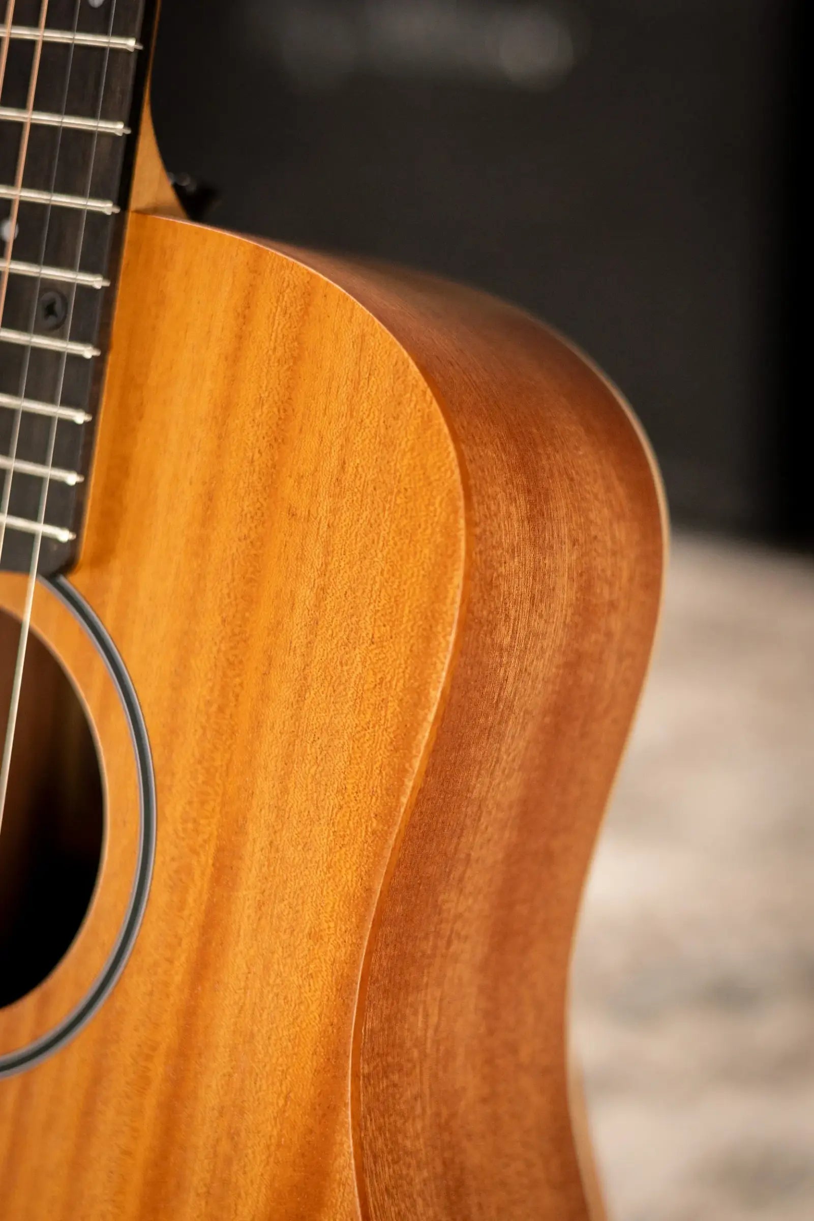 Taylor BT2 Baby Taylor Acoustic Guitar with Gig Bag