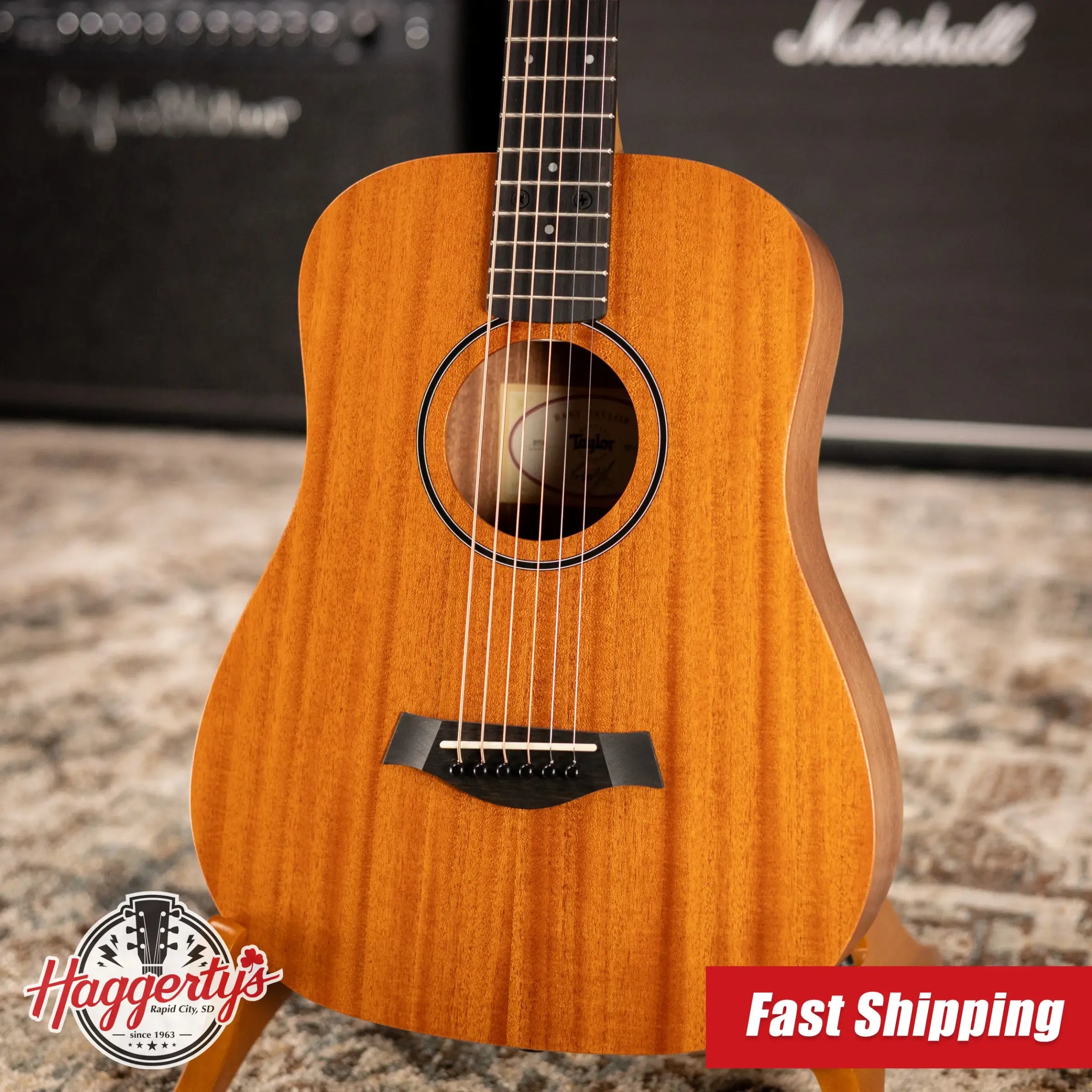 Taylor BT2 Baby Taylor Acoustic Guitar with Gig Bag
