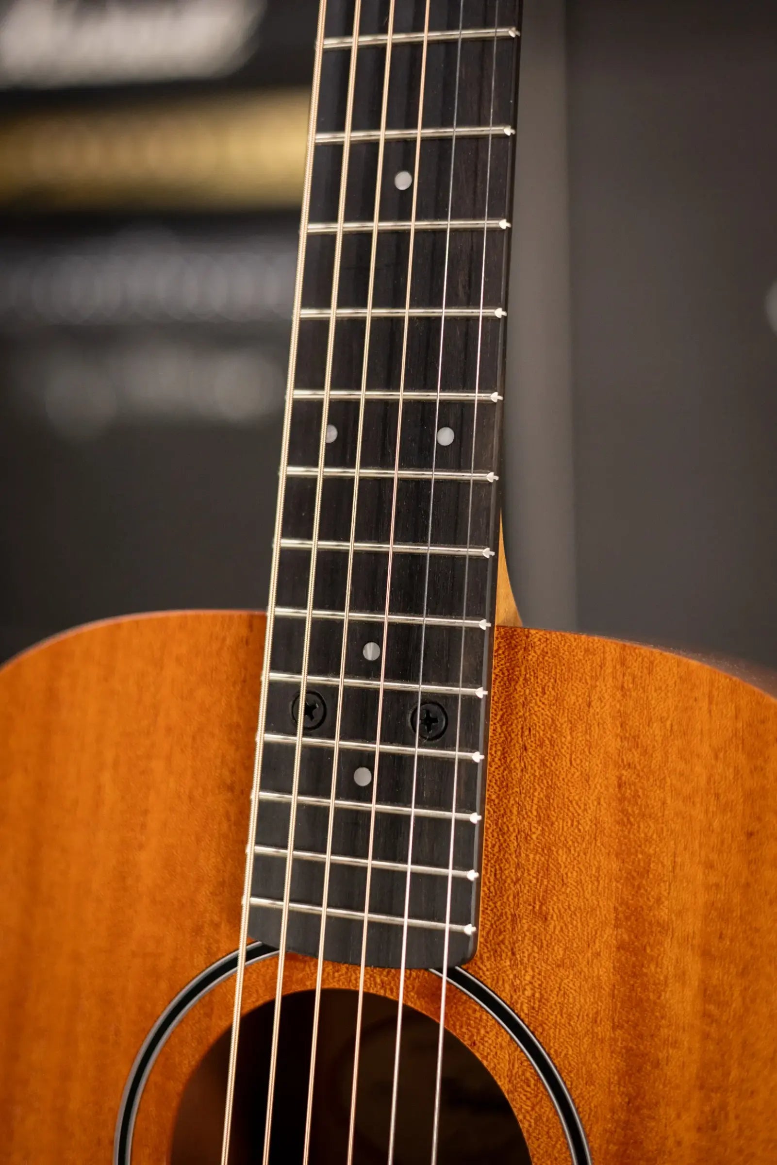 Taylor BT2 Baby Taylor Acoustic Guitar with Gig Bag