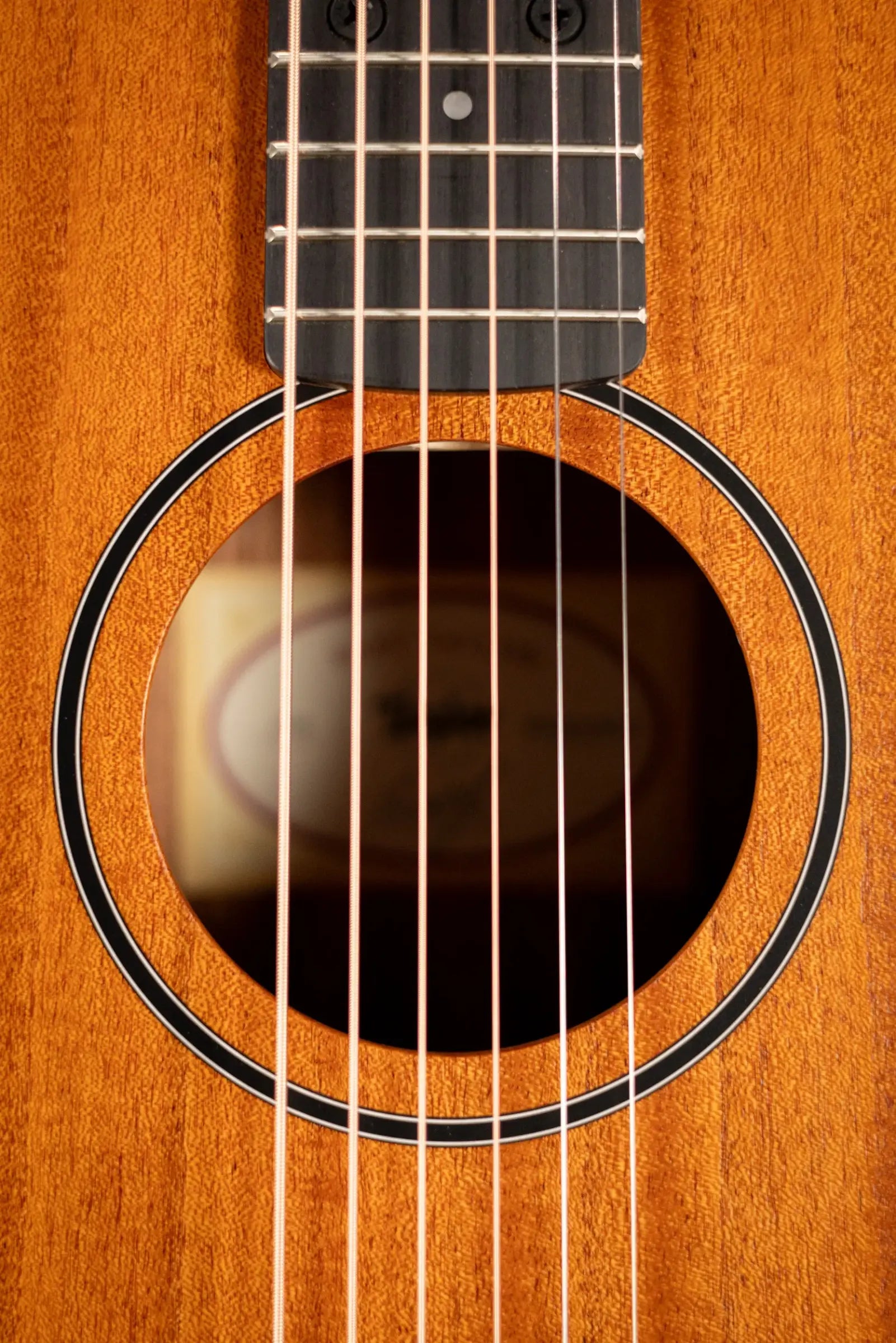 Taylor BT2 Baby Taylor Acoustic Guitar with Gig Bag