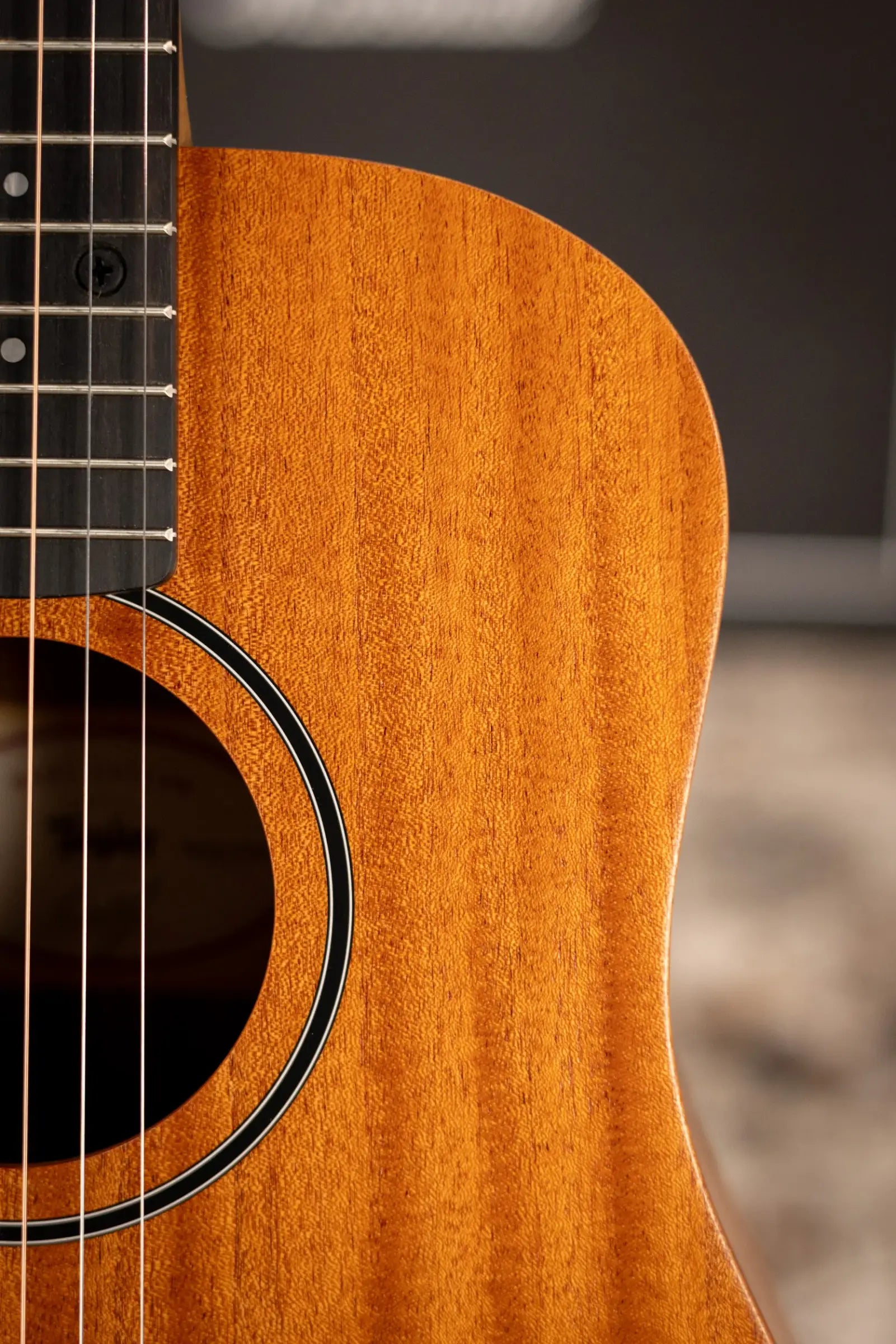 Taylor BT2 Baby Taylor Acoustic Guitar with Gig Bag