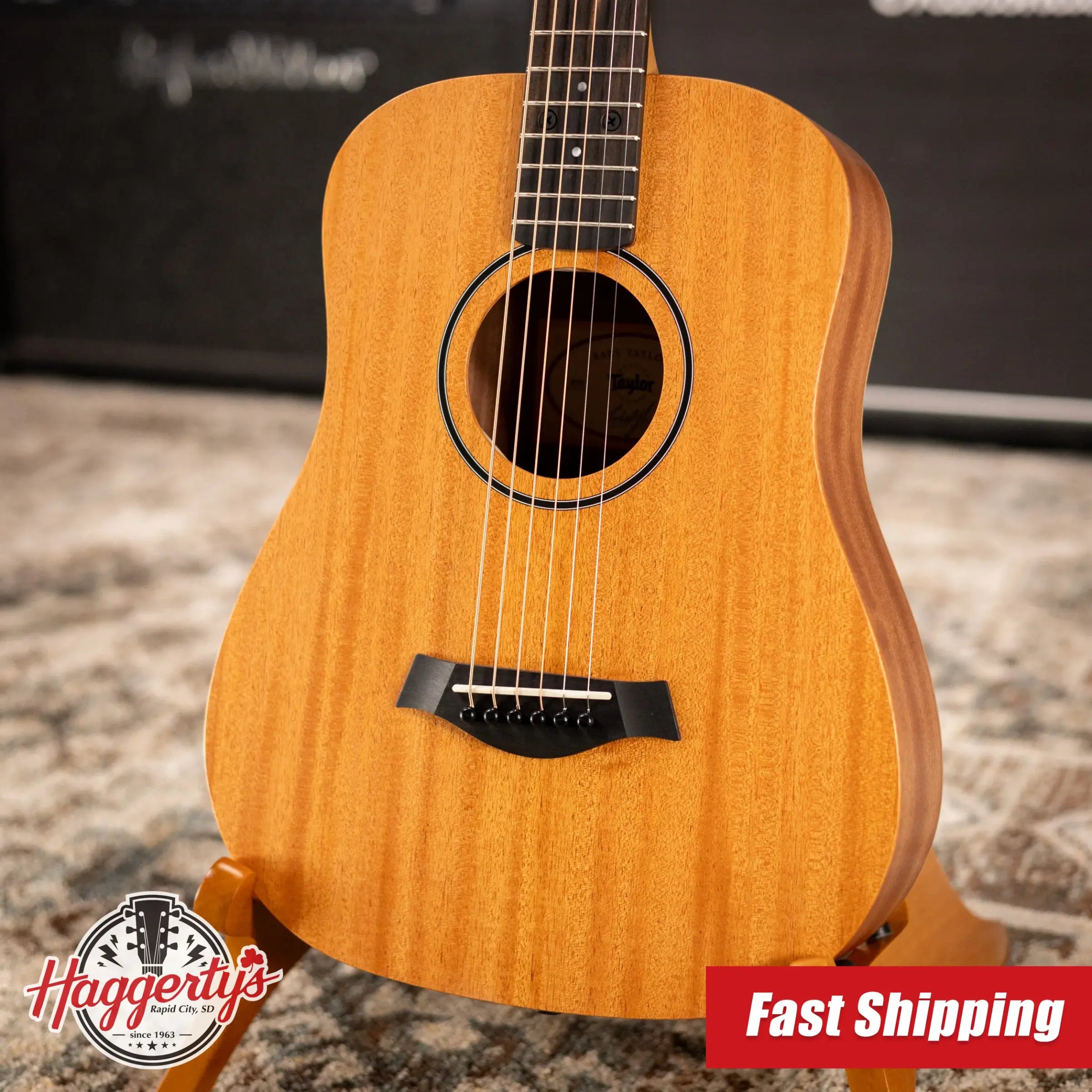 Taylor BT2 Baby Taylor Acoustic Guitar with Gig Bag