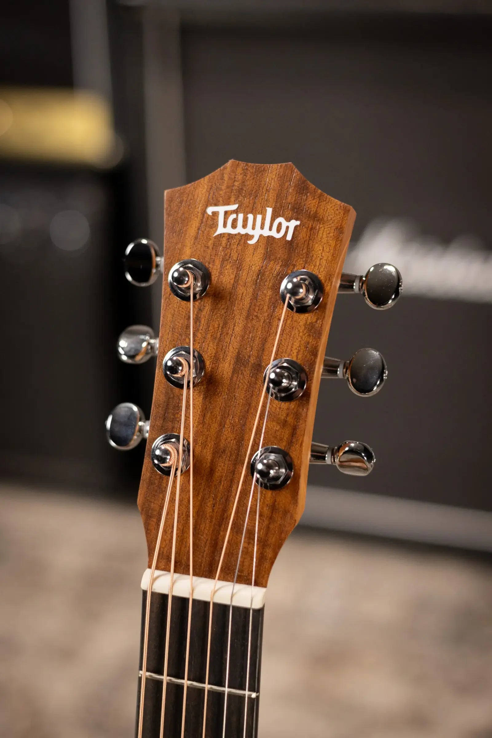Taylor BT2 Baby Taylor Acoustic Guitar with Gig Bag