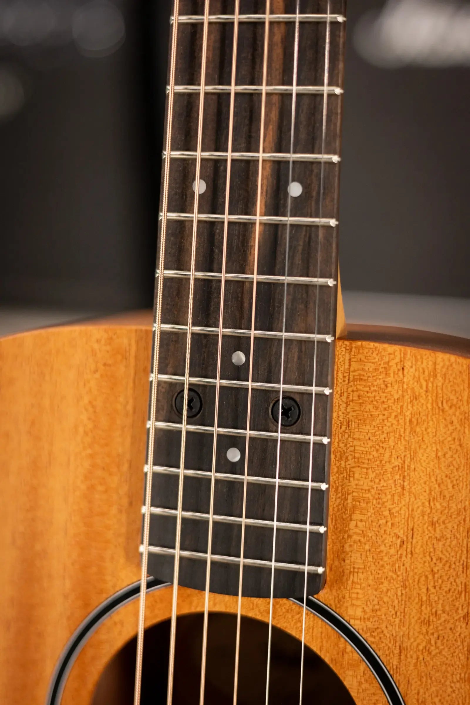 Taylor BT2 Baby Taylor Acoustic Guitar with Gig Bag