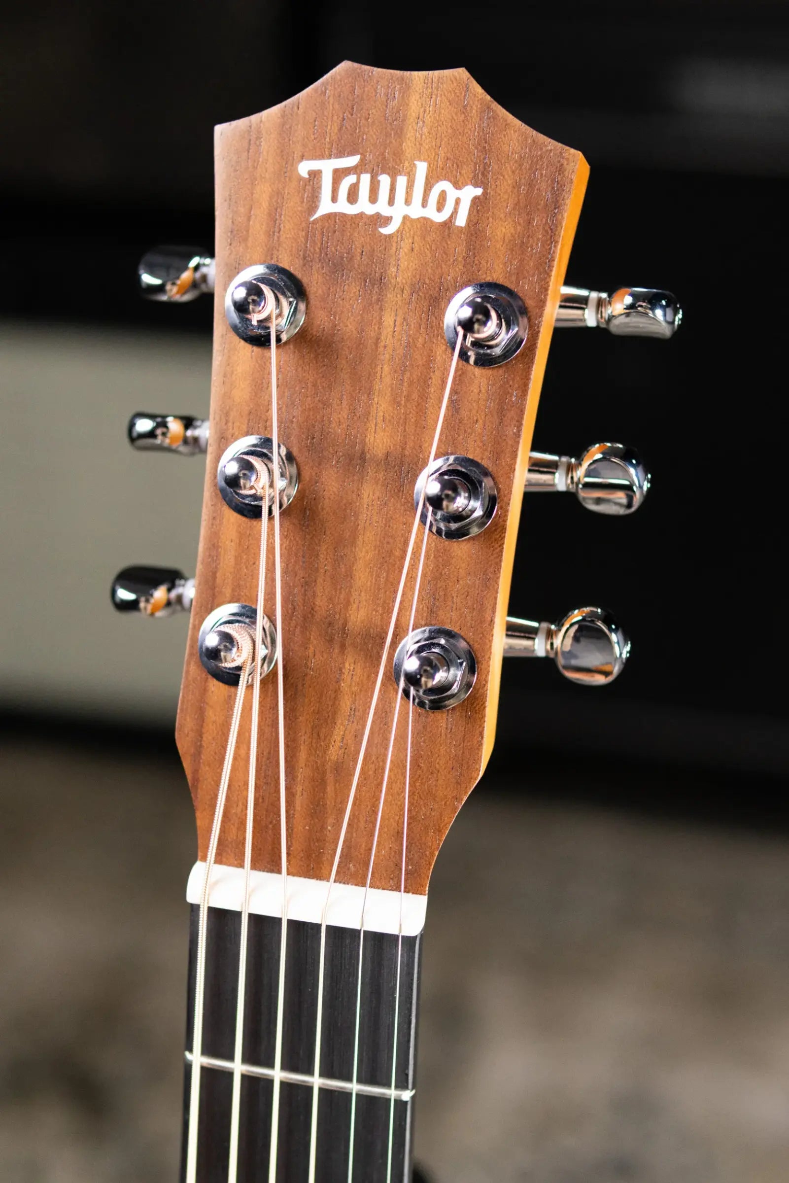 Taylor BT2 Baby Taylor Acoustic Guitar with Gig Bag