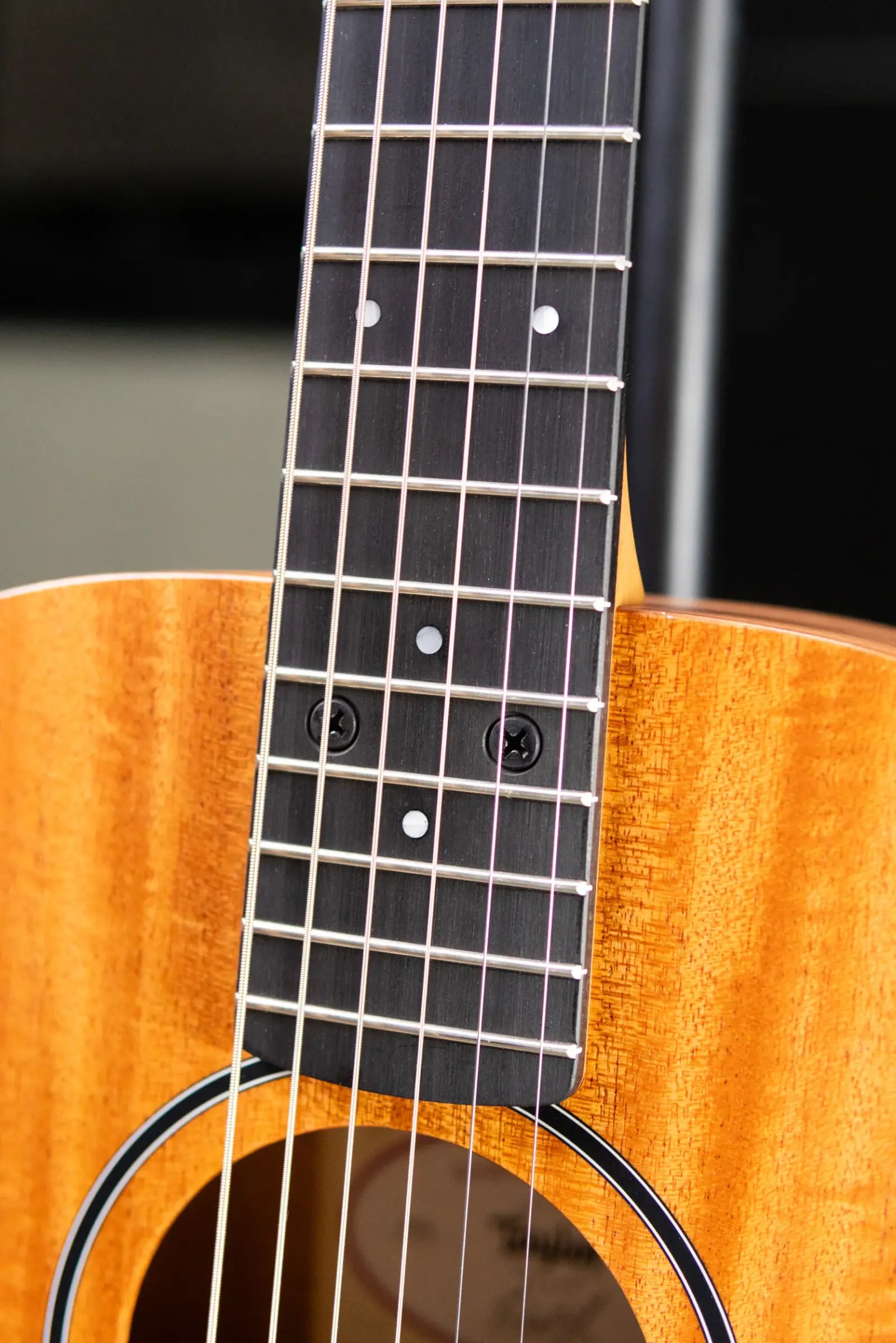 Taylor BT2 Baby Taylor Acoustic Guitar with Gig Bag