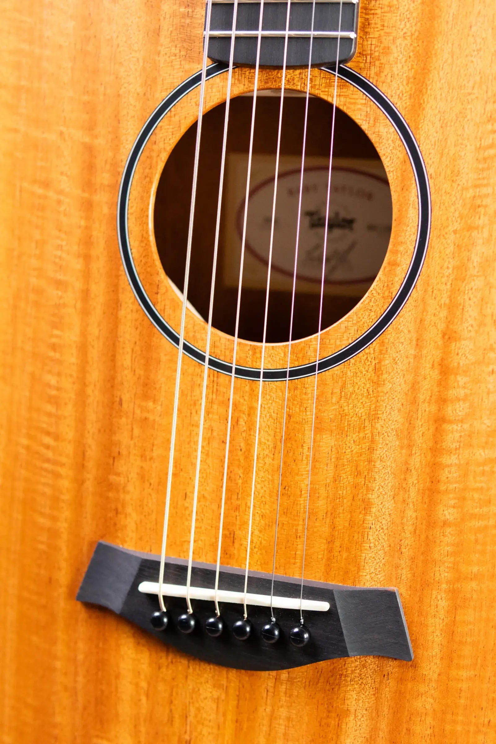 Taylor BT2 Baby Taylor Acoustic Guitar with Gig Bag