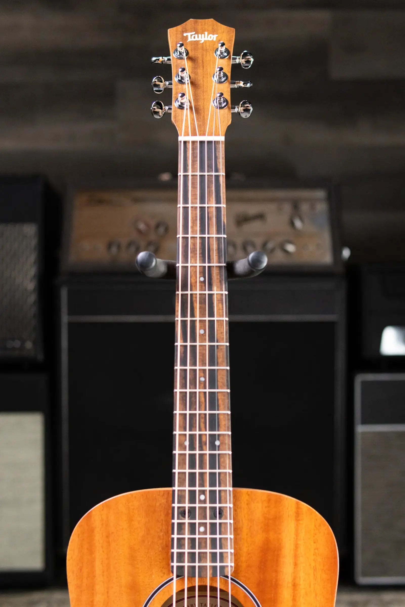Taylor BT2 Baby Taylor Acoustic Guitar with Gig Bag